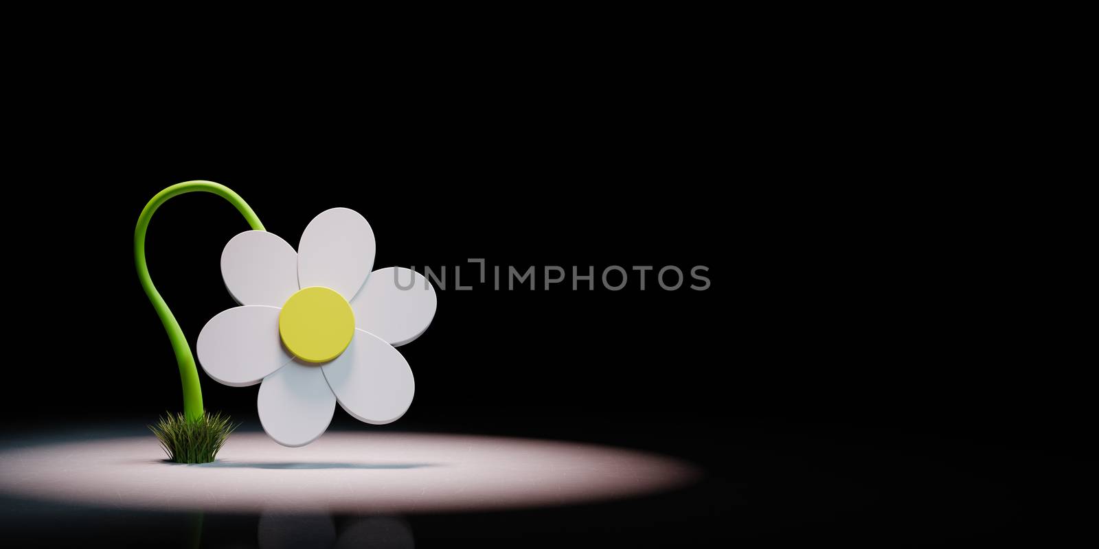 White Cartoon Daisy Flower 3D Shape Spotlighted on Black Background with Copy Space 3D Illustration