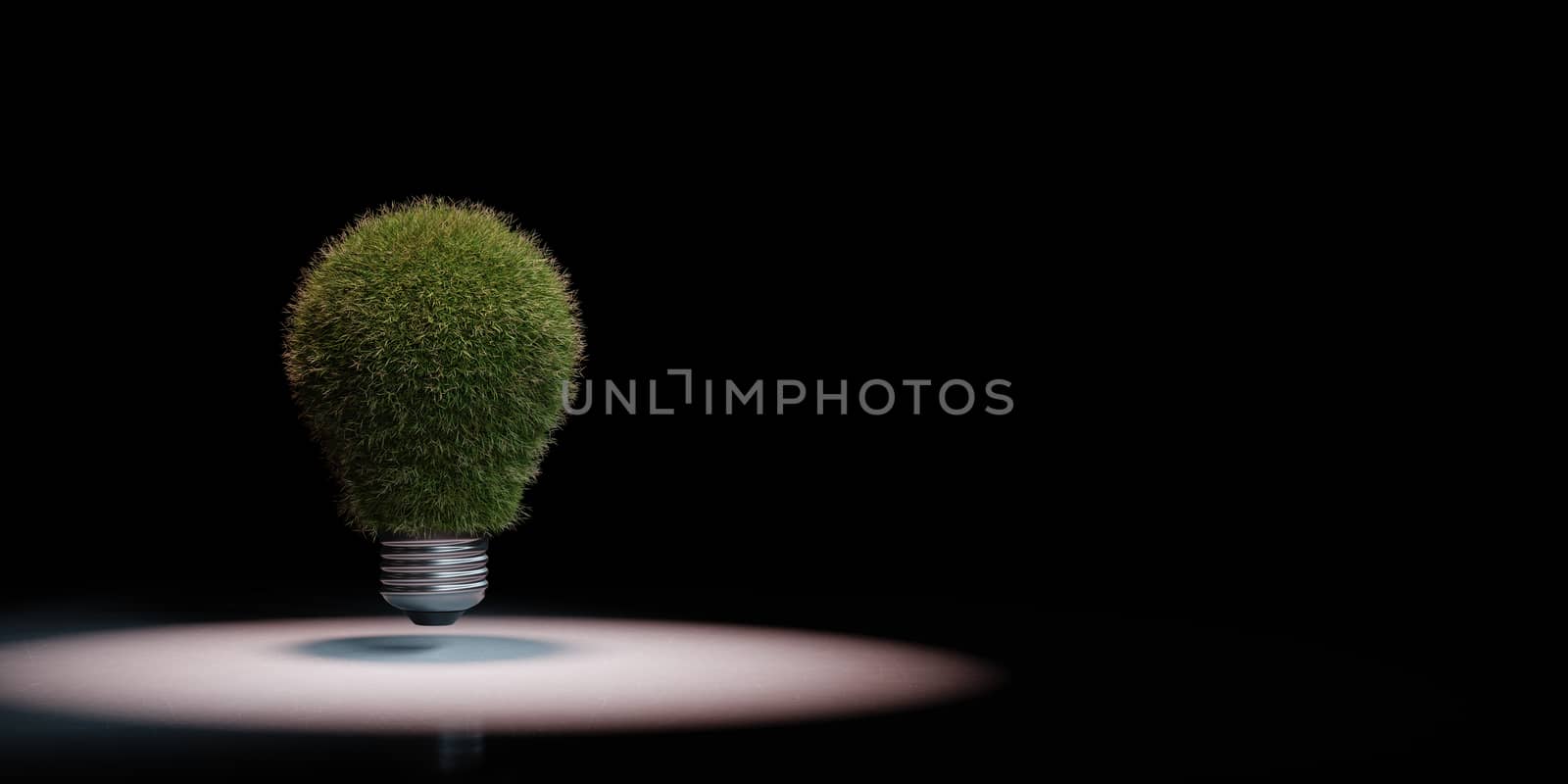 Grassy Light Bulb Spotlighted on Black Background with Copy Space 3D Illustration