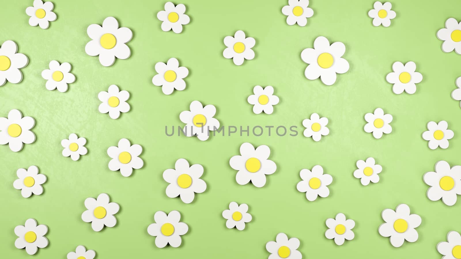 Daisy Flower Shapes on Green Background by make