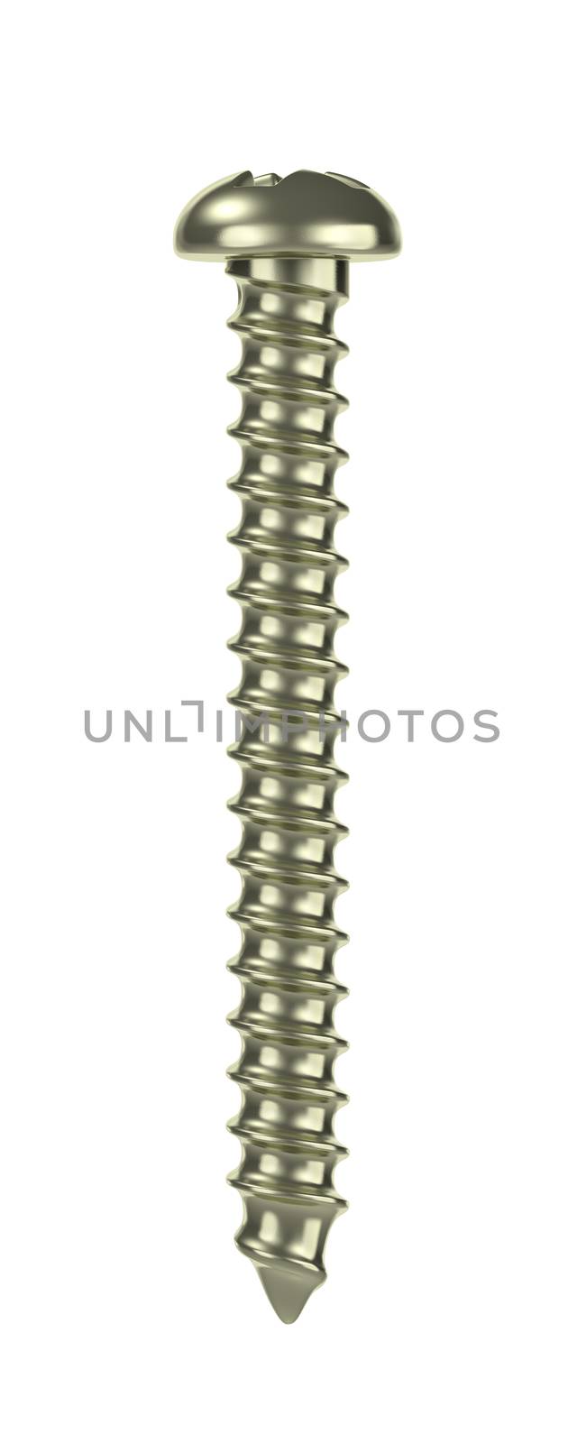 Single Metallic Screw Isolated on White Background