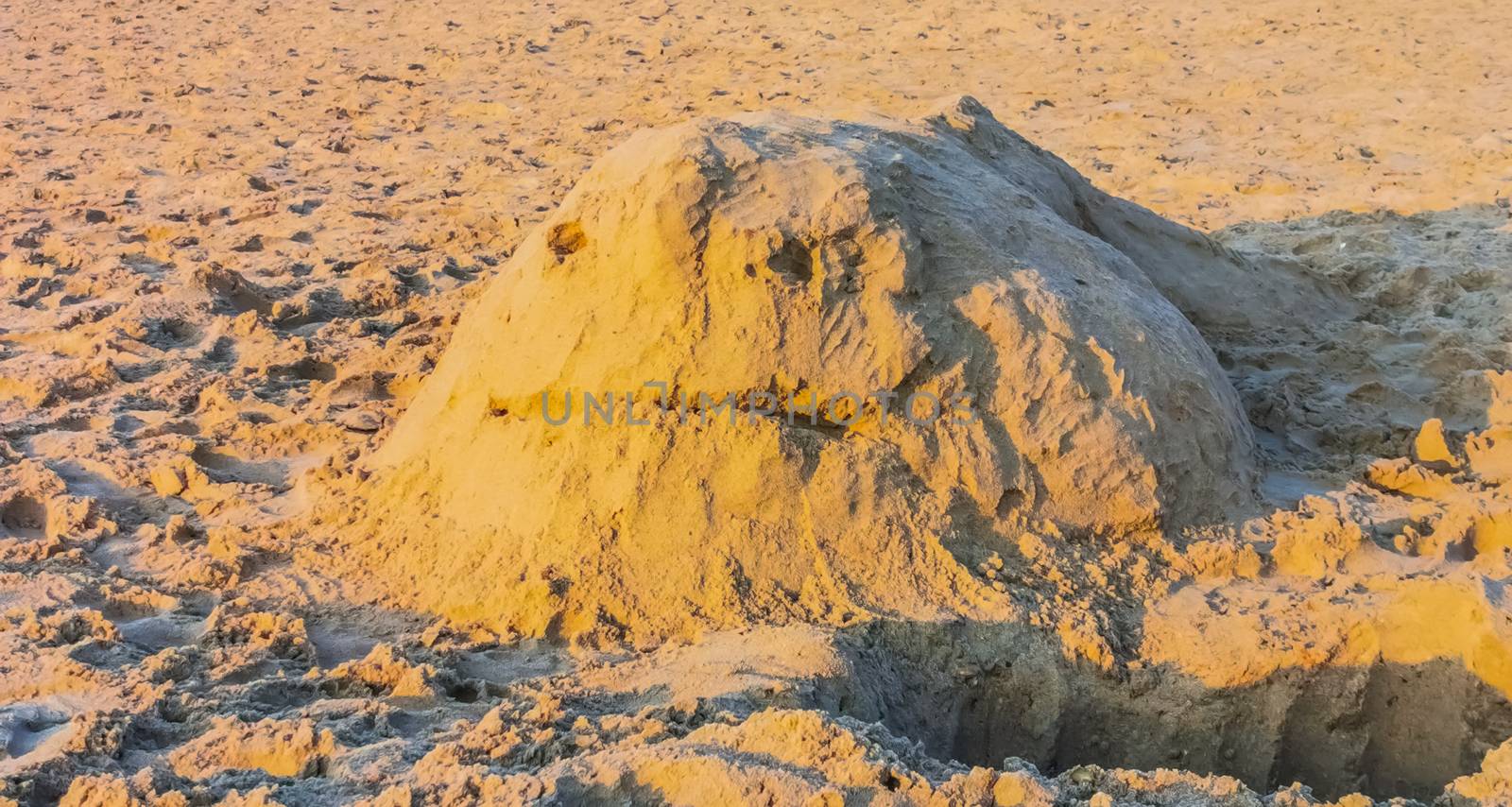 sand sculpting, whale sand sculpture on the beach, creative art for kids and adults, summer season background