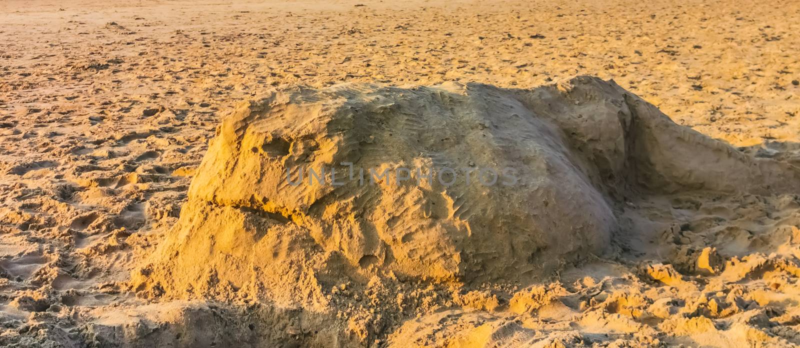 whale sand sculpture on the beach, creative art for adults and kids, summer season background