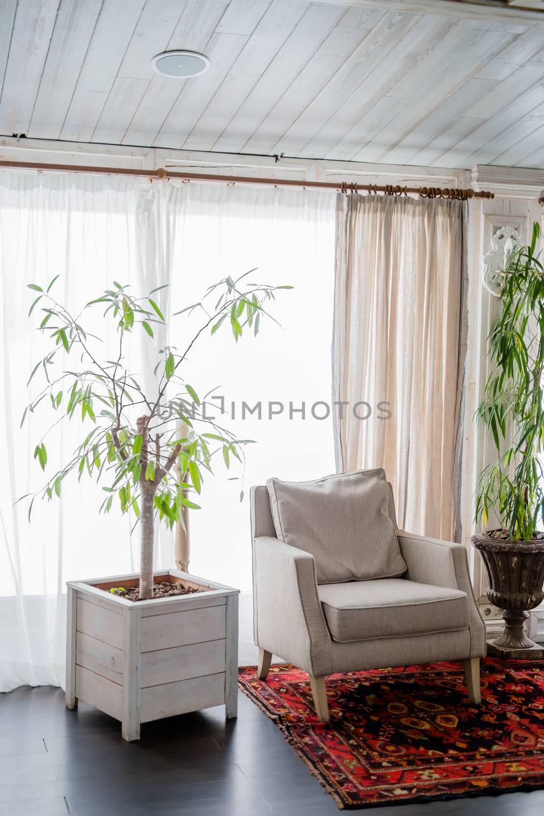 sofa near the window of a large light window, restaurant cozy interior texture of a wooden wall by dikkens