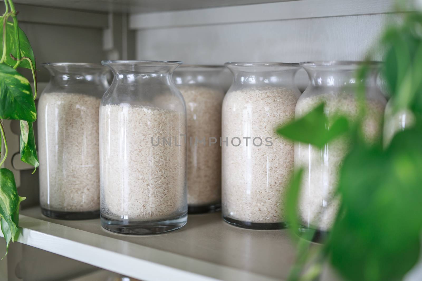 white rice in glass jars on wooden shelves in a light vintage Cabinet, green vines and plants hanging on the sides by dikkens
