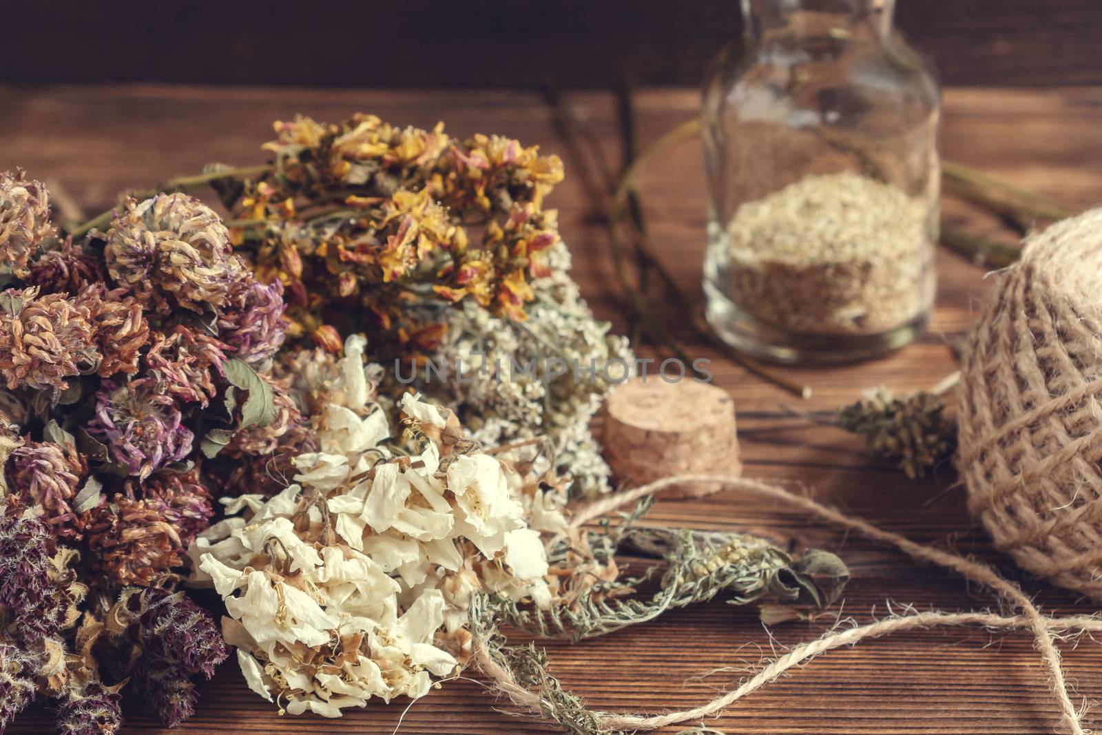 Drying and harvesting of medicinal herbs, homeopathy and alternative medicine concept by galsand