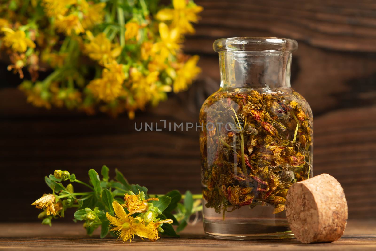 Concept of homeopathy and herbal treatment - dried Hypericum perforatum know as tutsan or Saint-Johns-wort in a bottle.