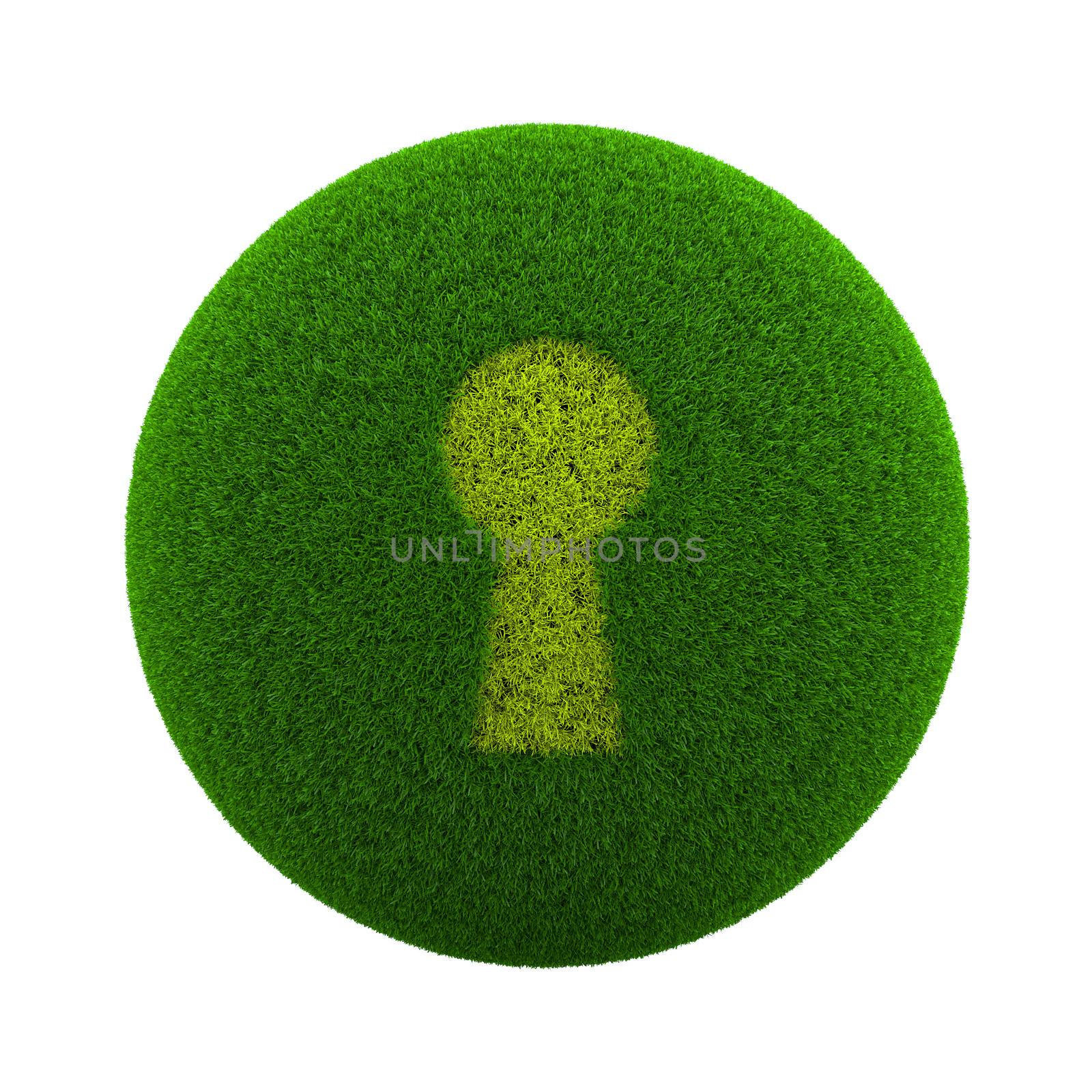 Grass Sphere Keyhole Icon by make