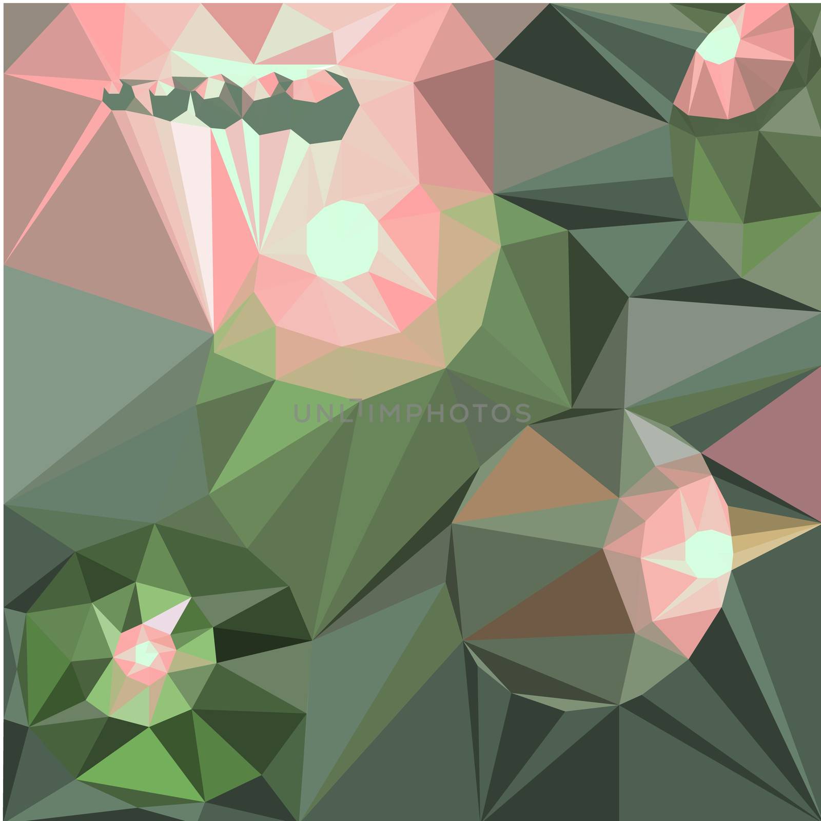 abstract geometric rumpled triangular low poly style vector illustration graphic background