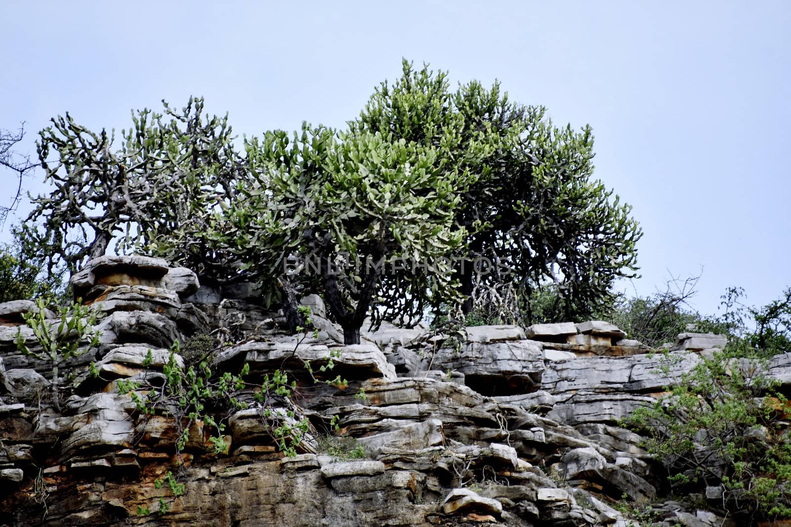 Landscape of Hill and Sky