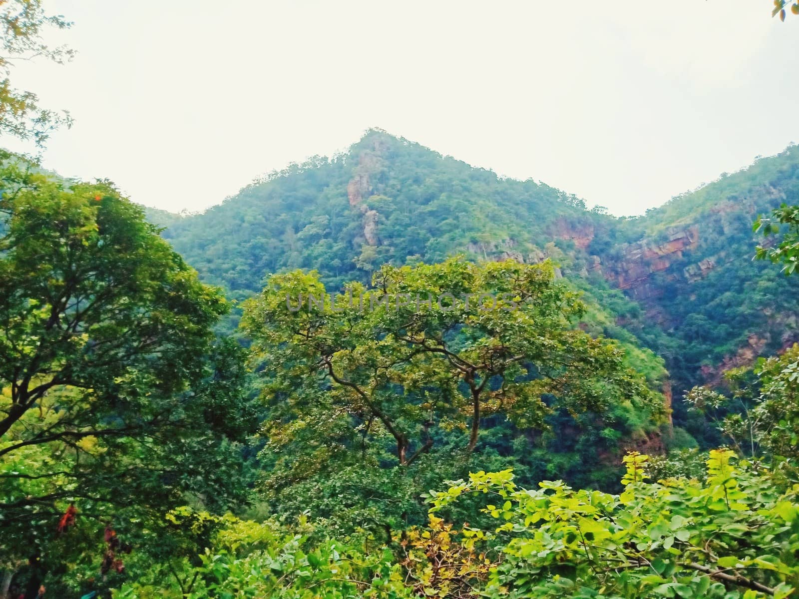 Landscape of Hill and Sky