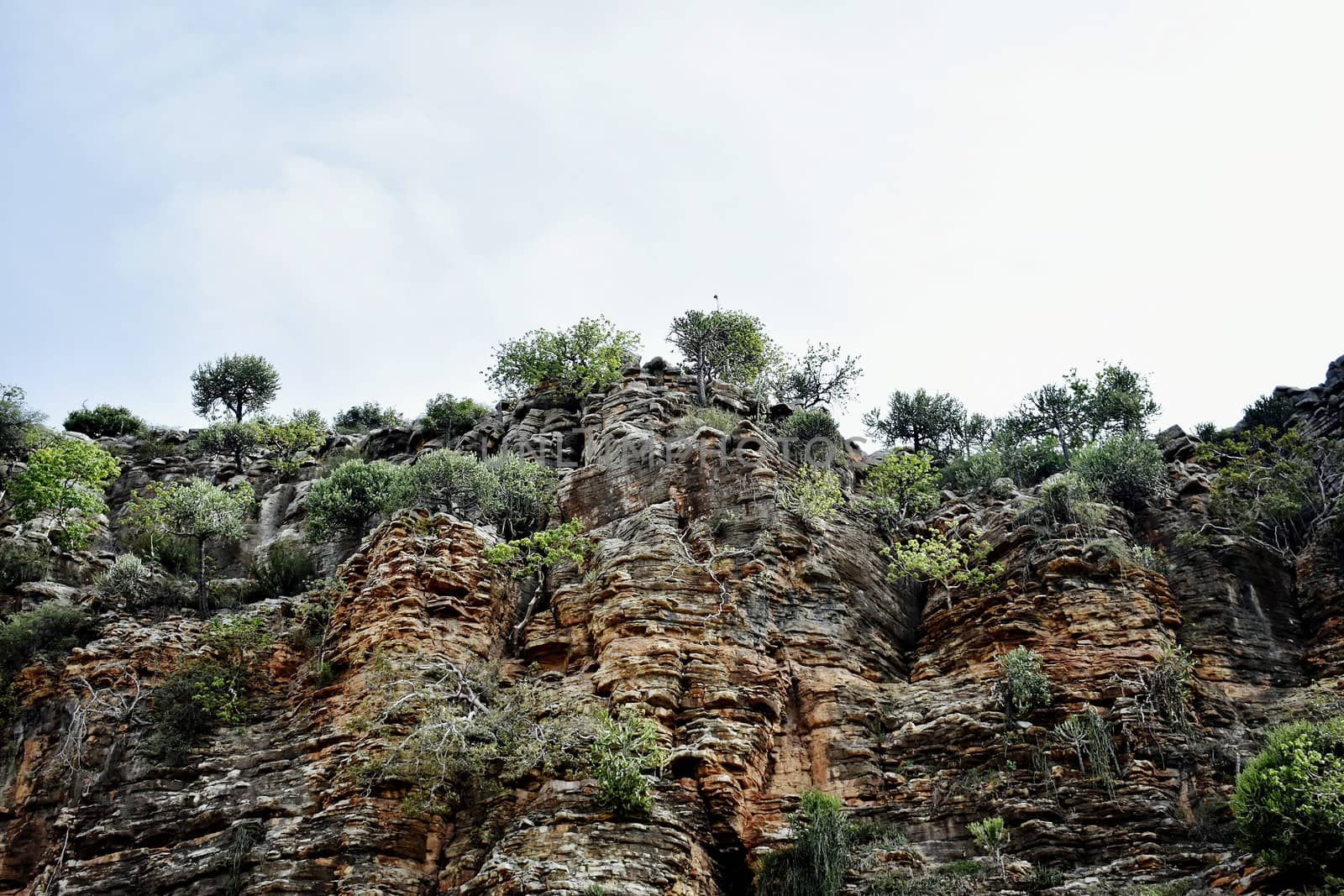 Landscape of Hill and Sky