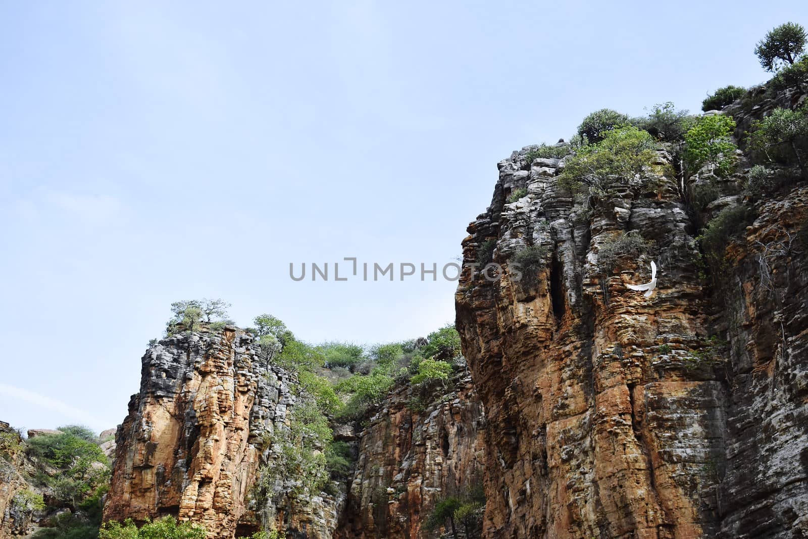 Landscape of Hill and Sky