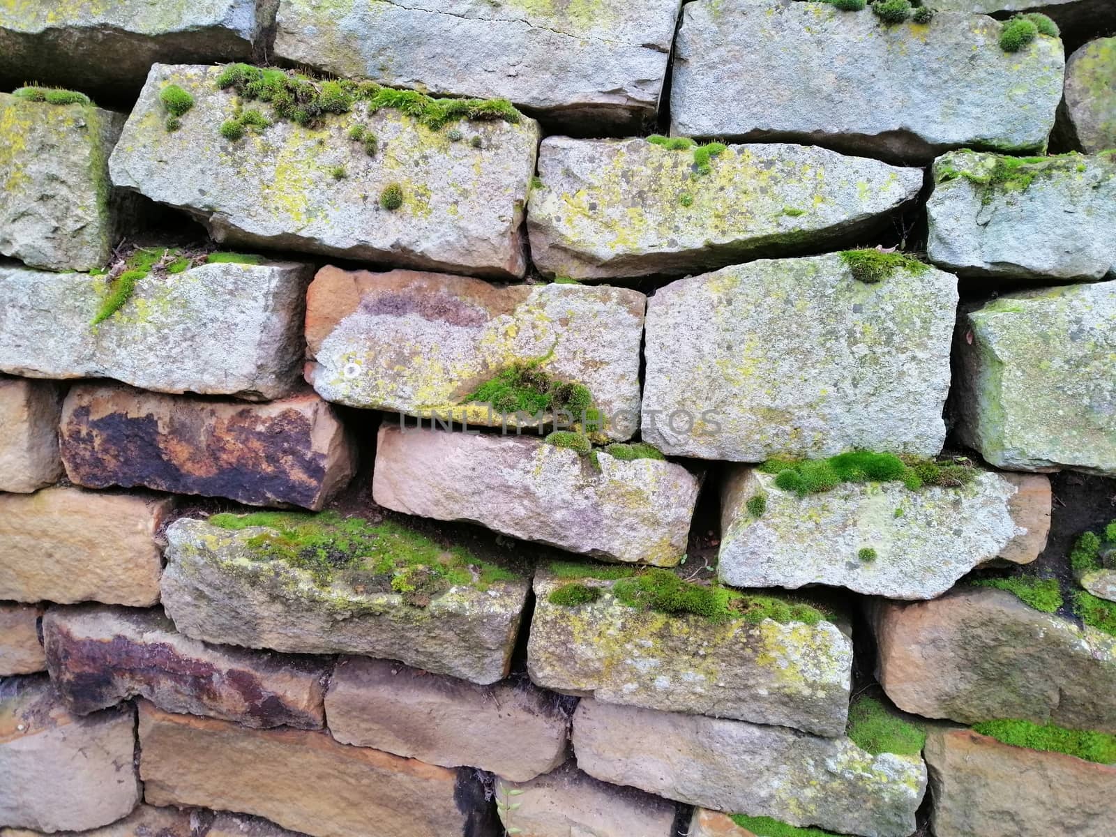 Texture of the old stone wall with moss. by Lenkapenka