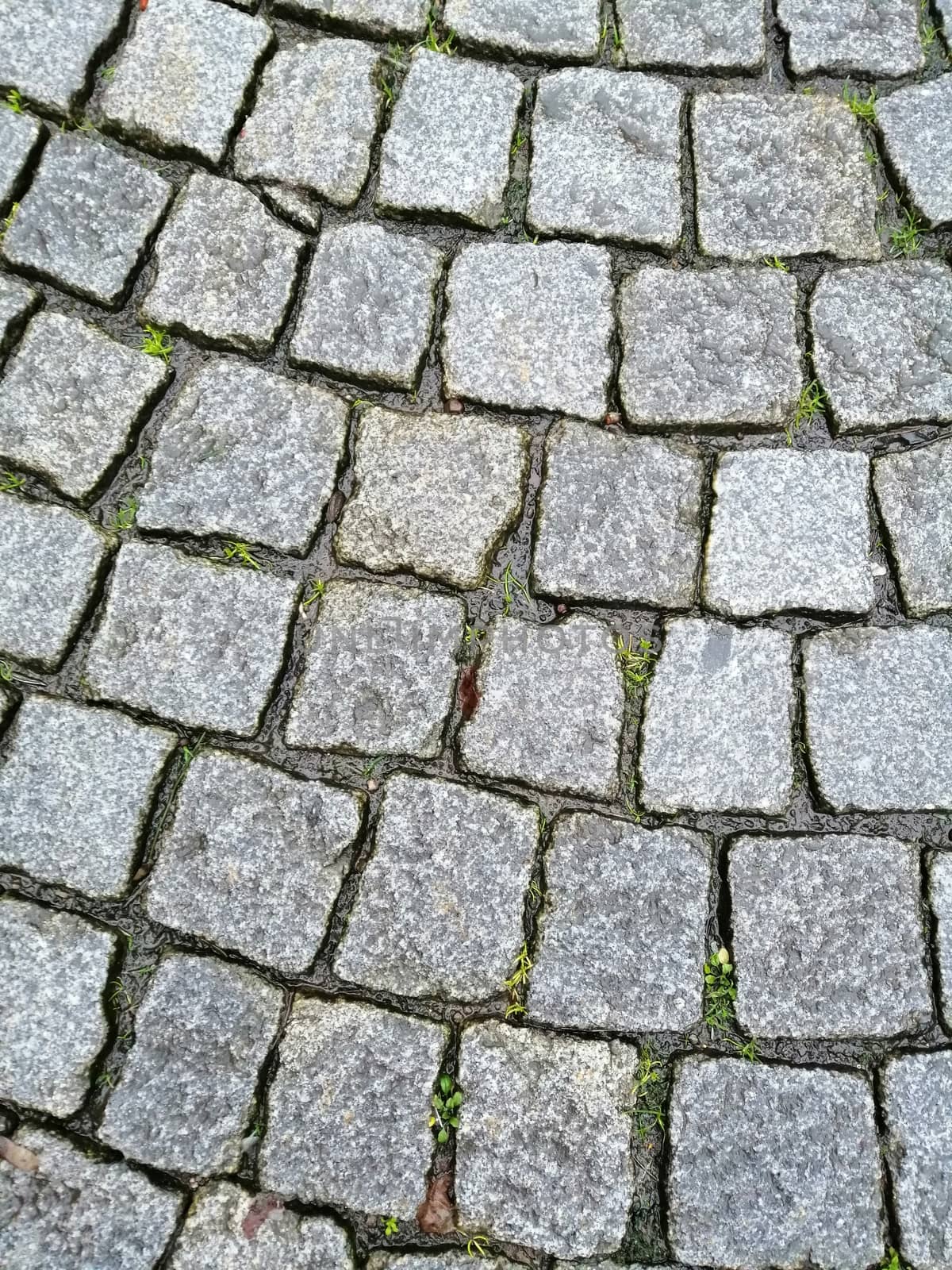 Road stone texture background, top view.Road of the old city.