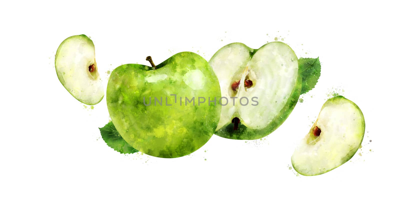 Green Apple on white background. Watercolor illustration by ConceptCafe