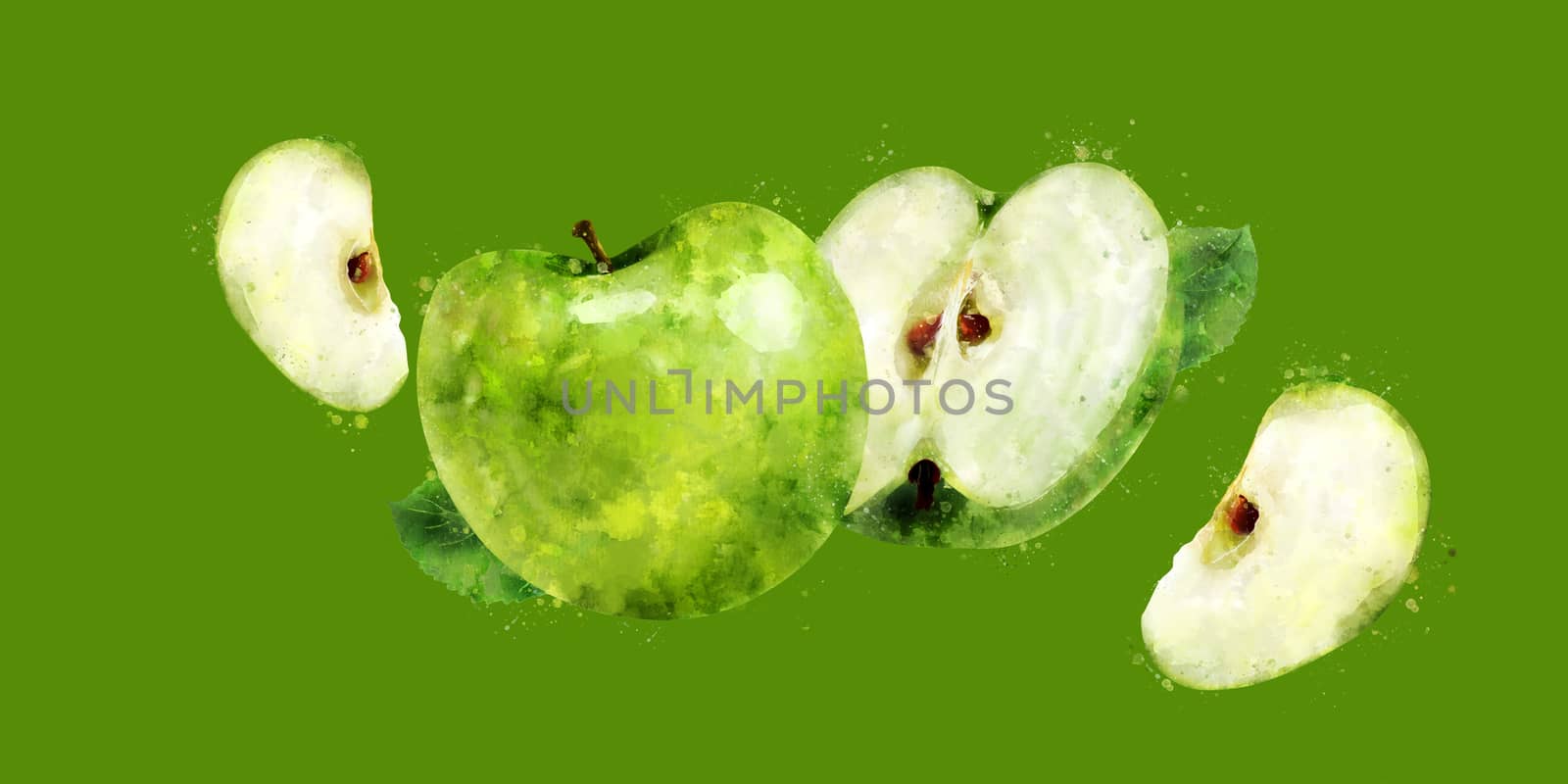 Green Apple, hand-painted illustration on green background