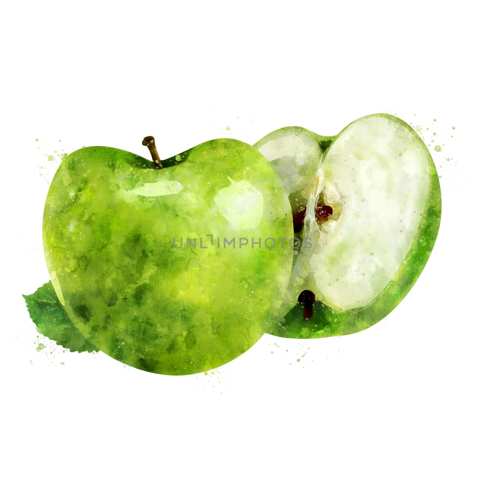 Green Apple on white background. Watercolor illustration by ConceptCafe