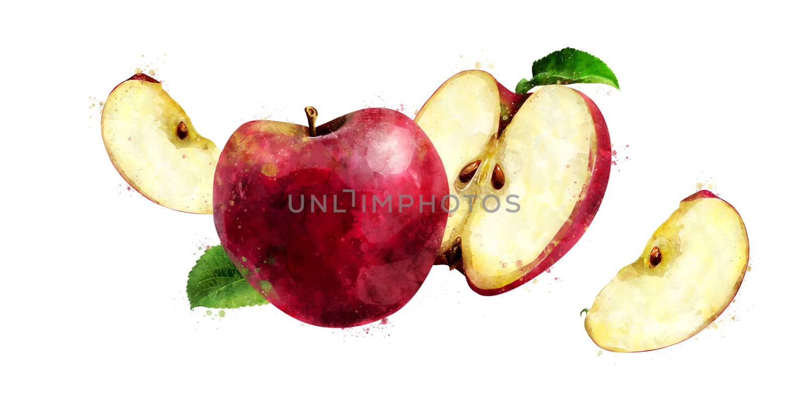 Red Apple on white background. Watercolor illustration by ConceptCafe