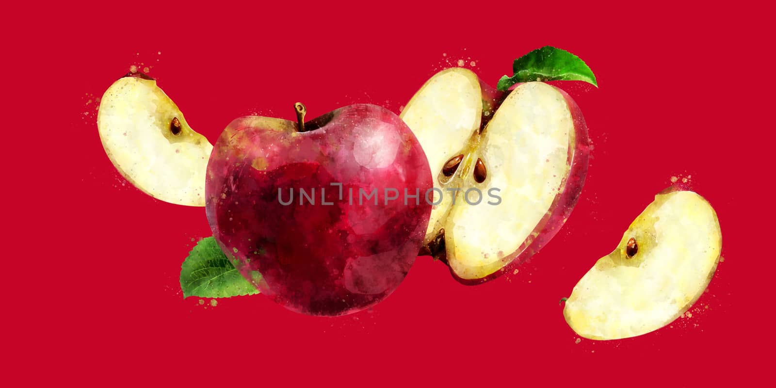 Red Apple on dark red background. Watercolor illustration by ConceptCafe