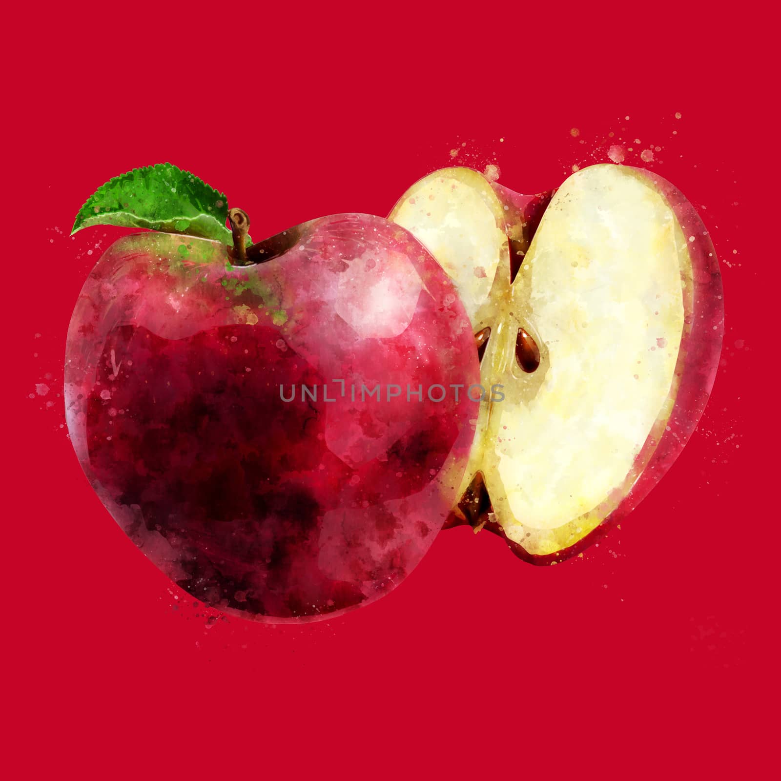 Red Apple on dark red background. Watercolor illustration by ConceptCafe
