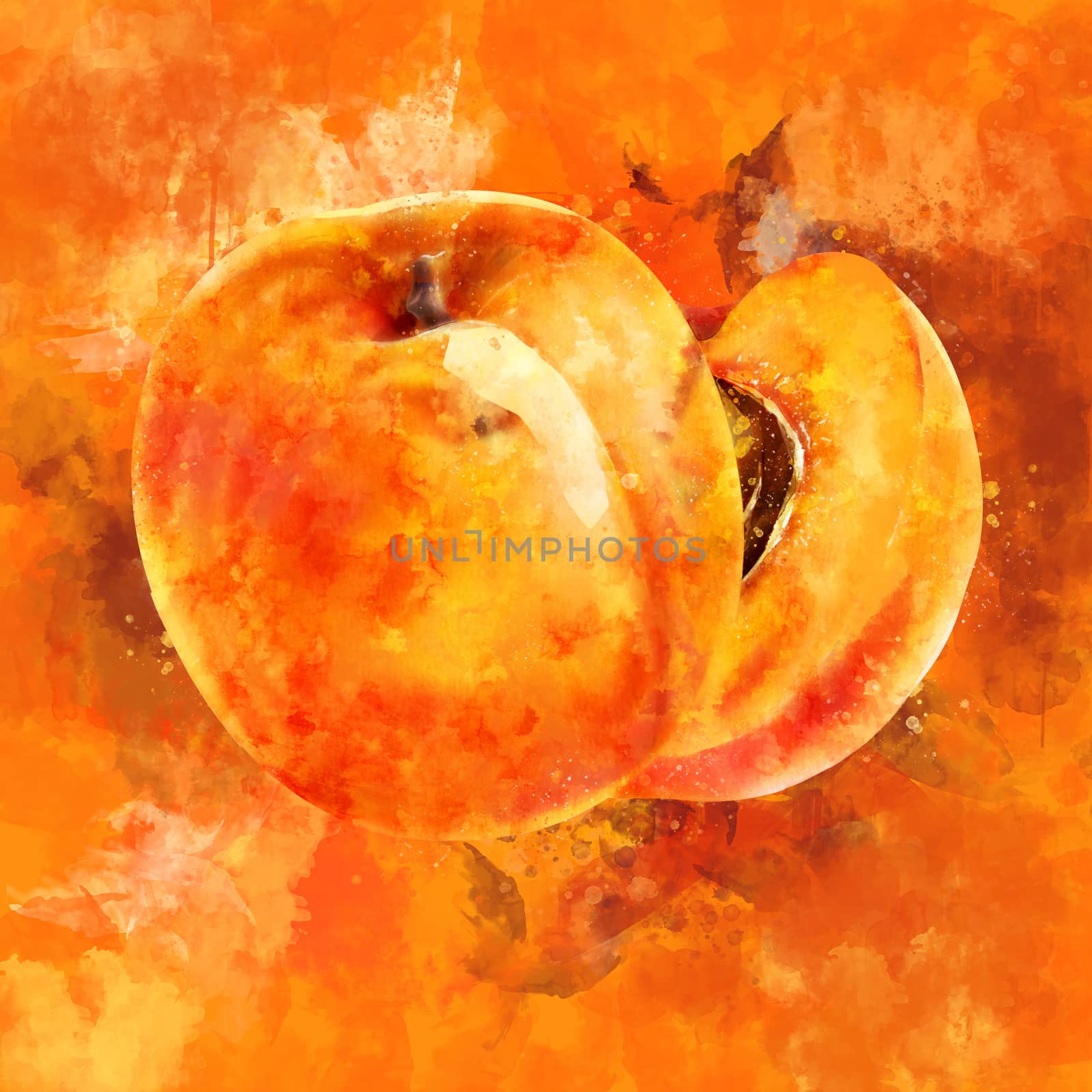 Apricot on orange background. Watercolor illustration by ConceptCafe