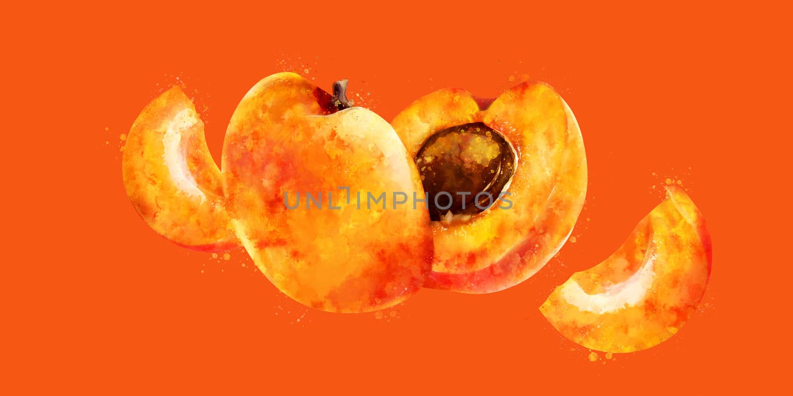 Apricot, hand-painted illustration on orange background