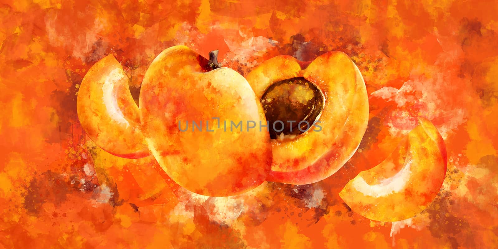 Apricot on orange background. Watercolor illustration by ConceptCafe