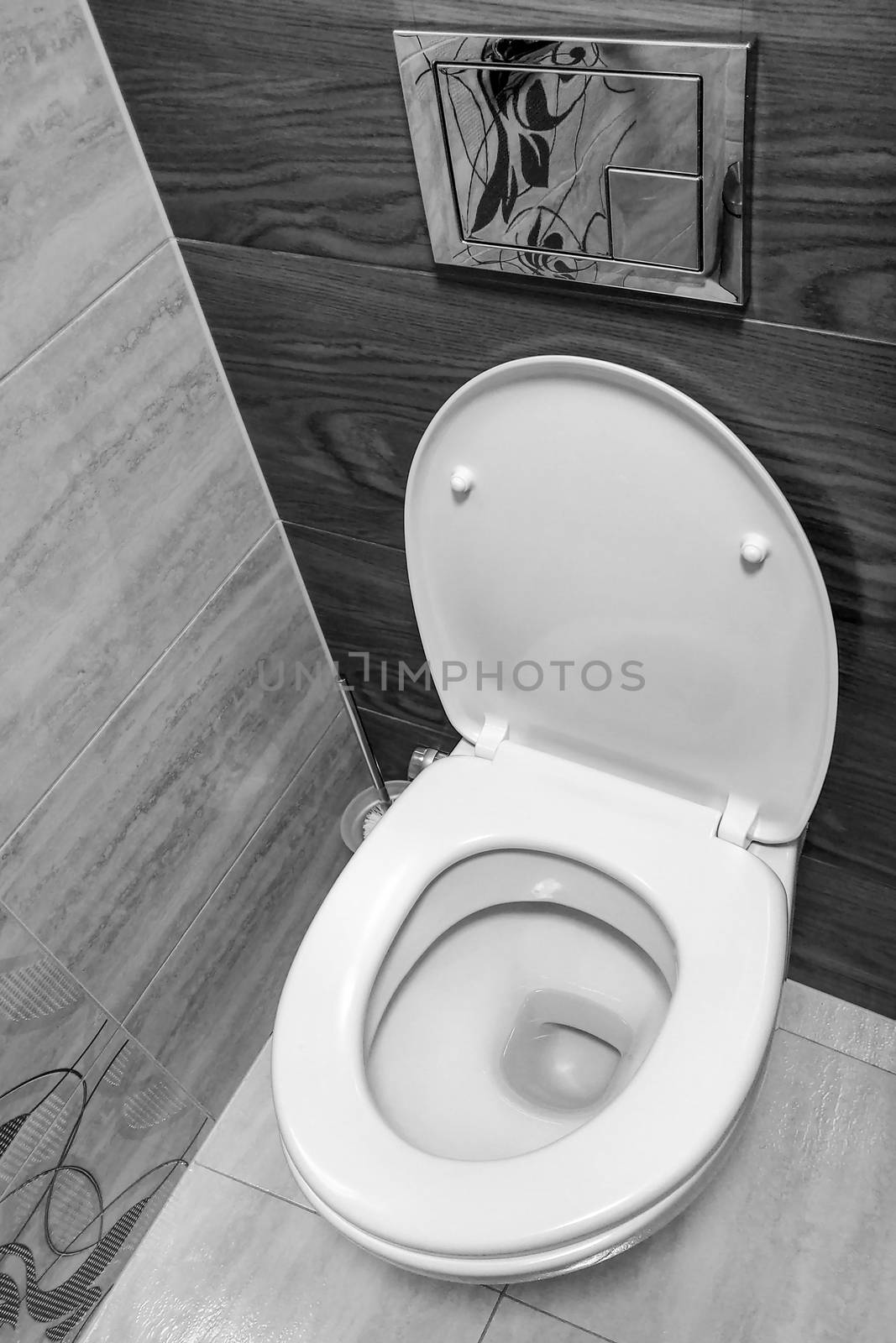 White toilet in modern home, white toilet bowl in cleaning room