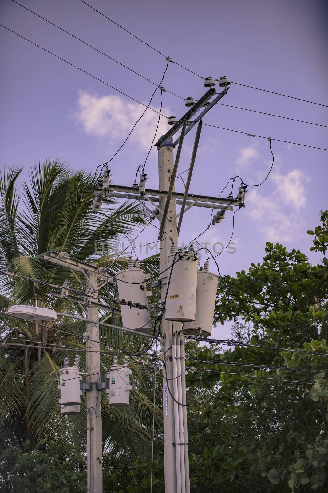 Electrical transformers on poles by pippocarlot