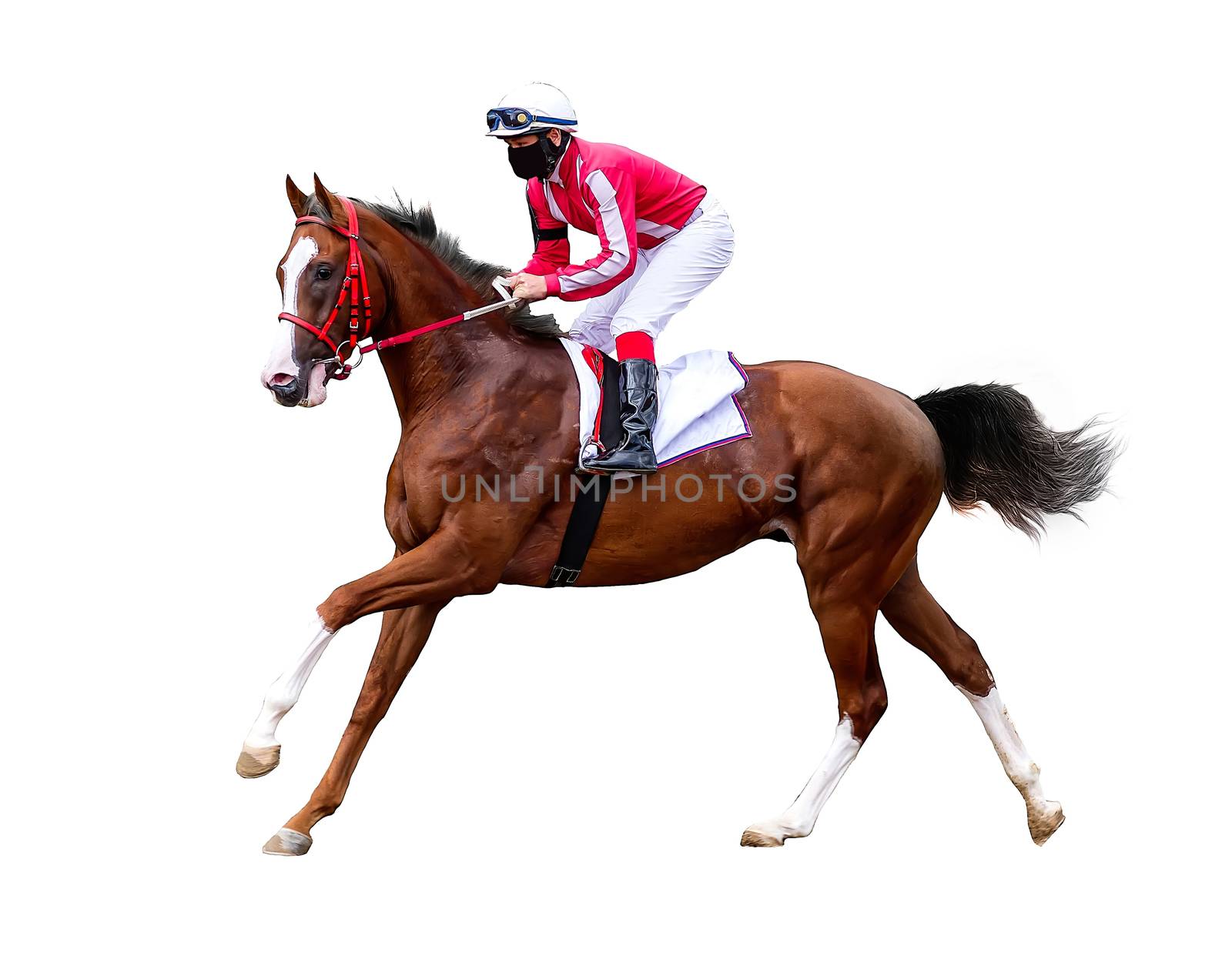 horse jockey racing isolated on white background