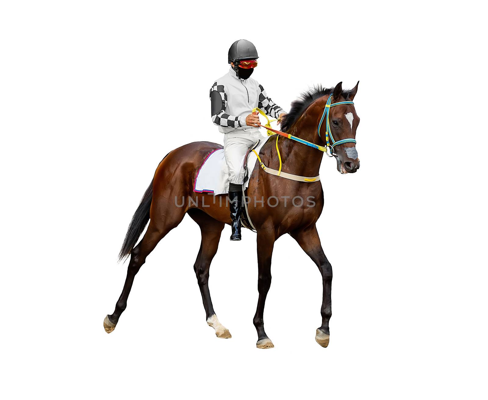 horse jockey racing isolated on white background