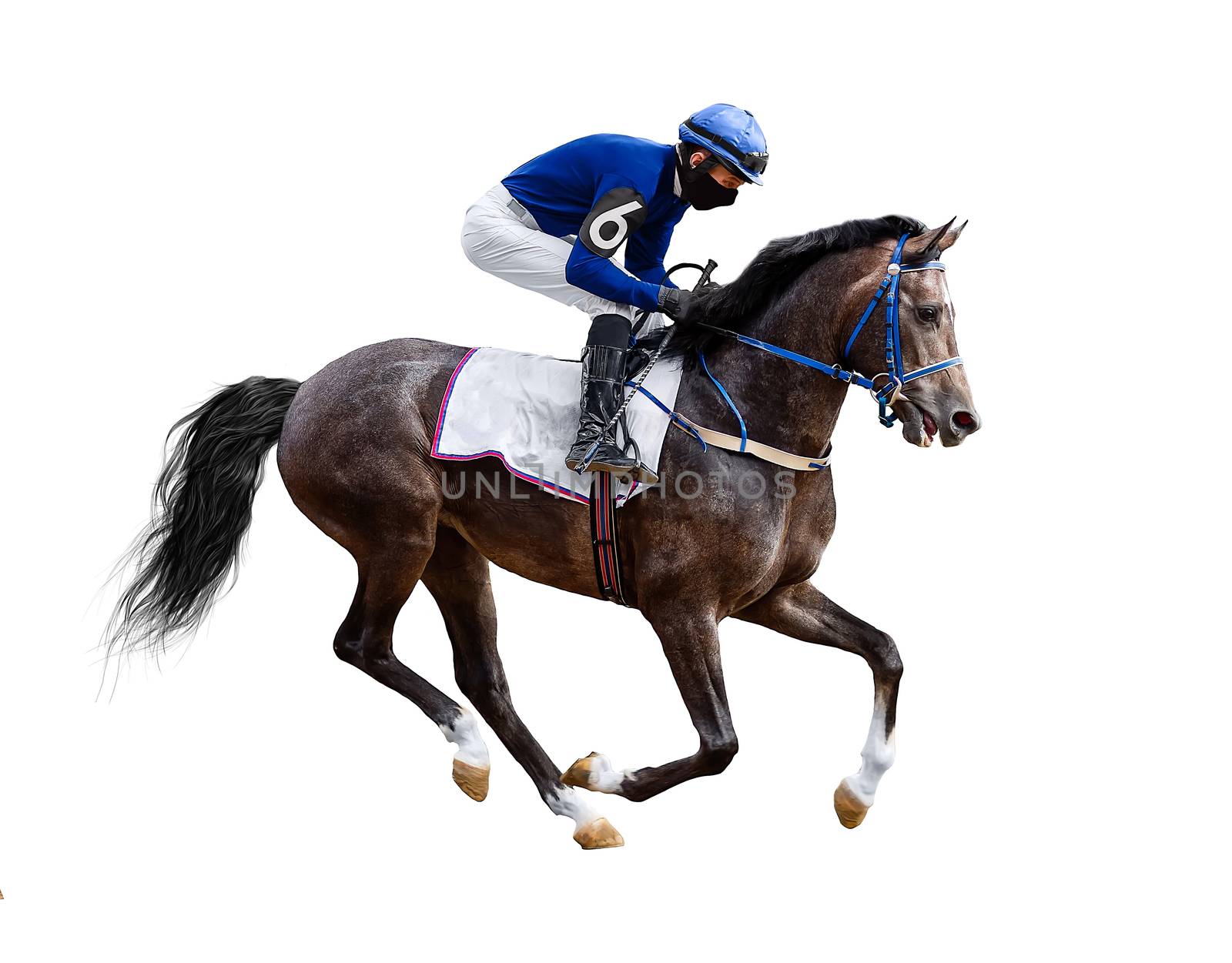 horse jockey racing isolated on white background