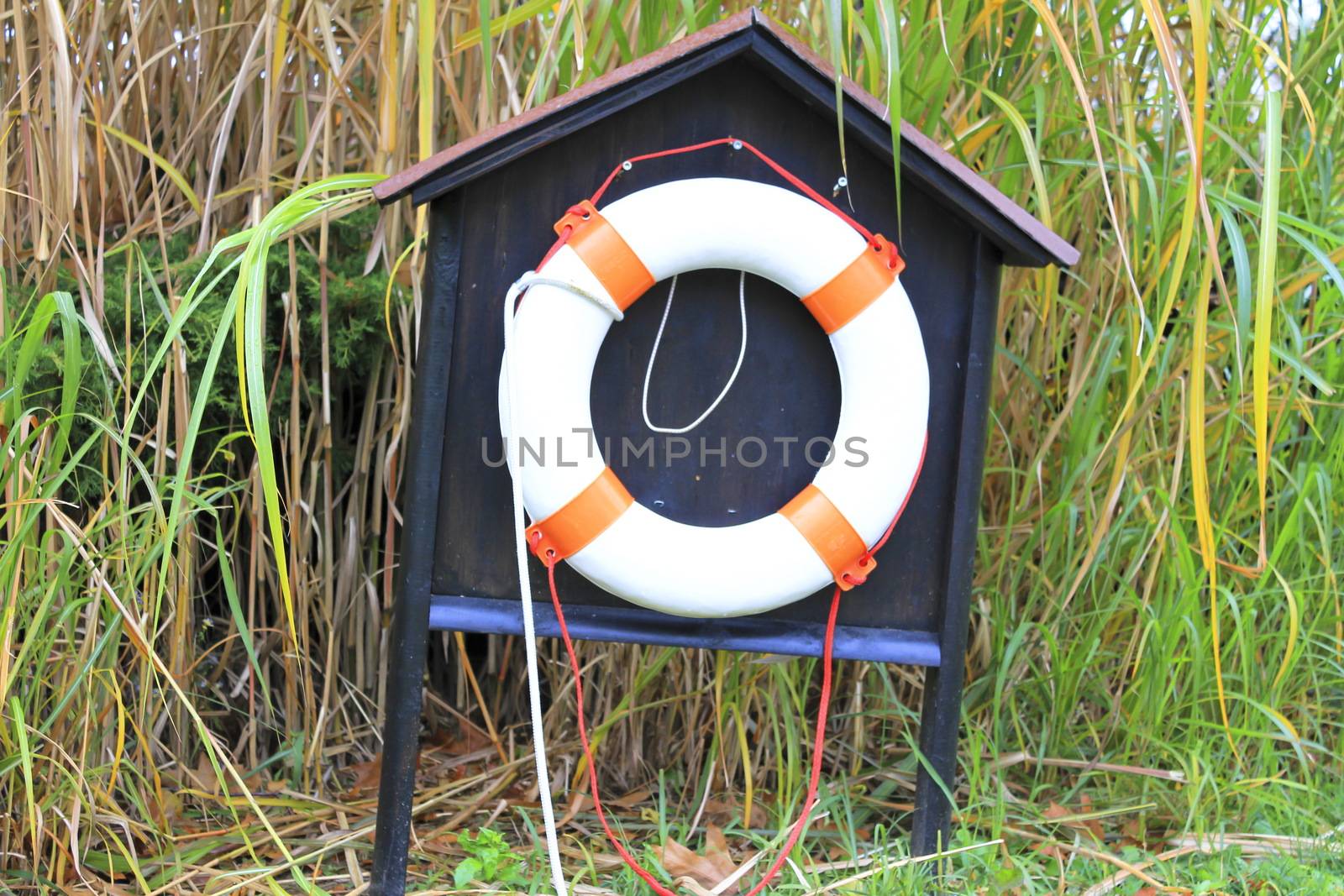 red and white lifebuoy in the wilderness by mariephotos