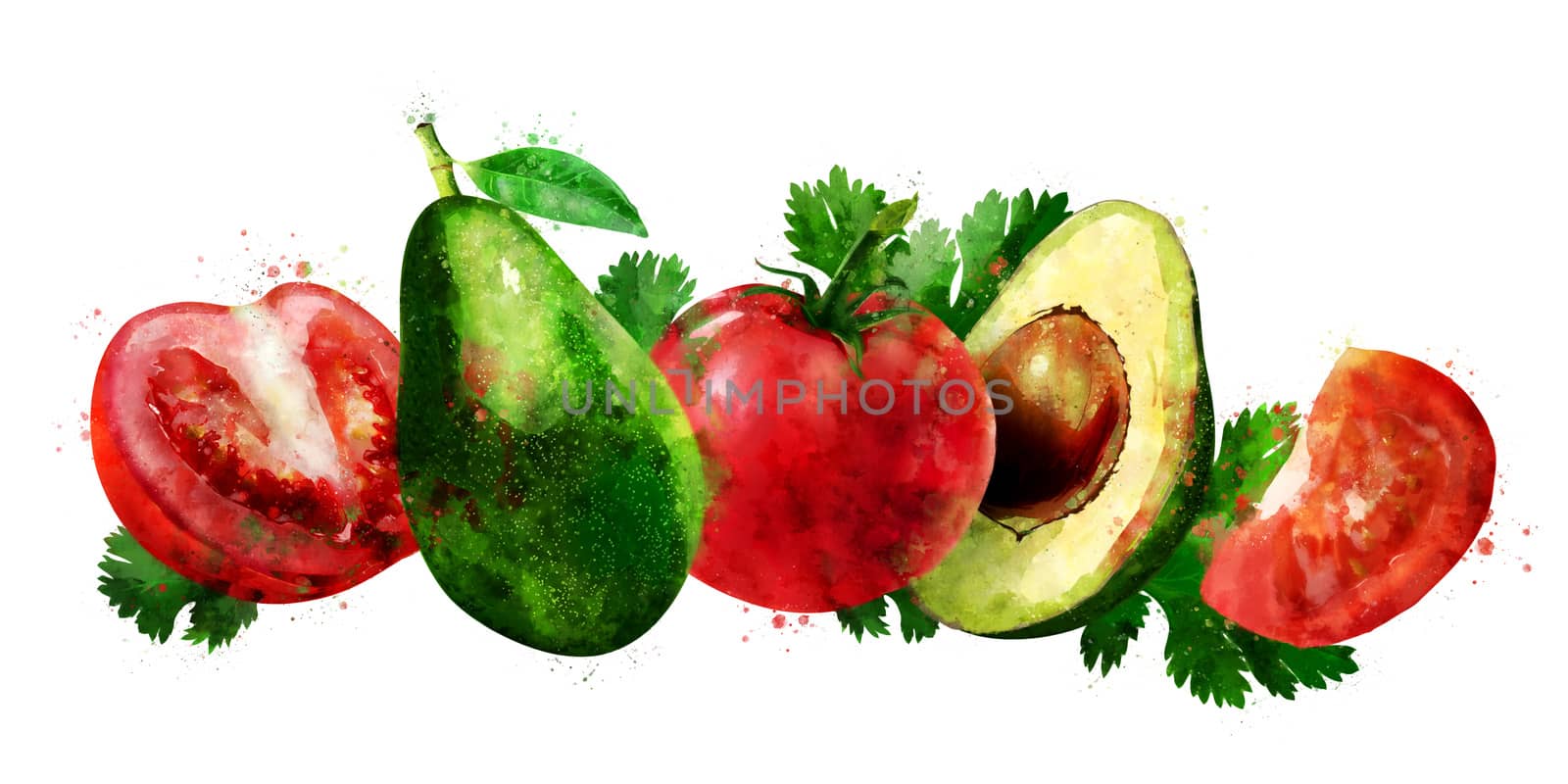 Avocado and tomato on white background. Watercolor illustration by ConceptCafe