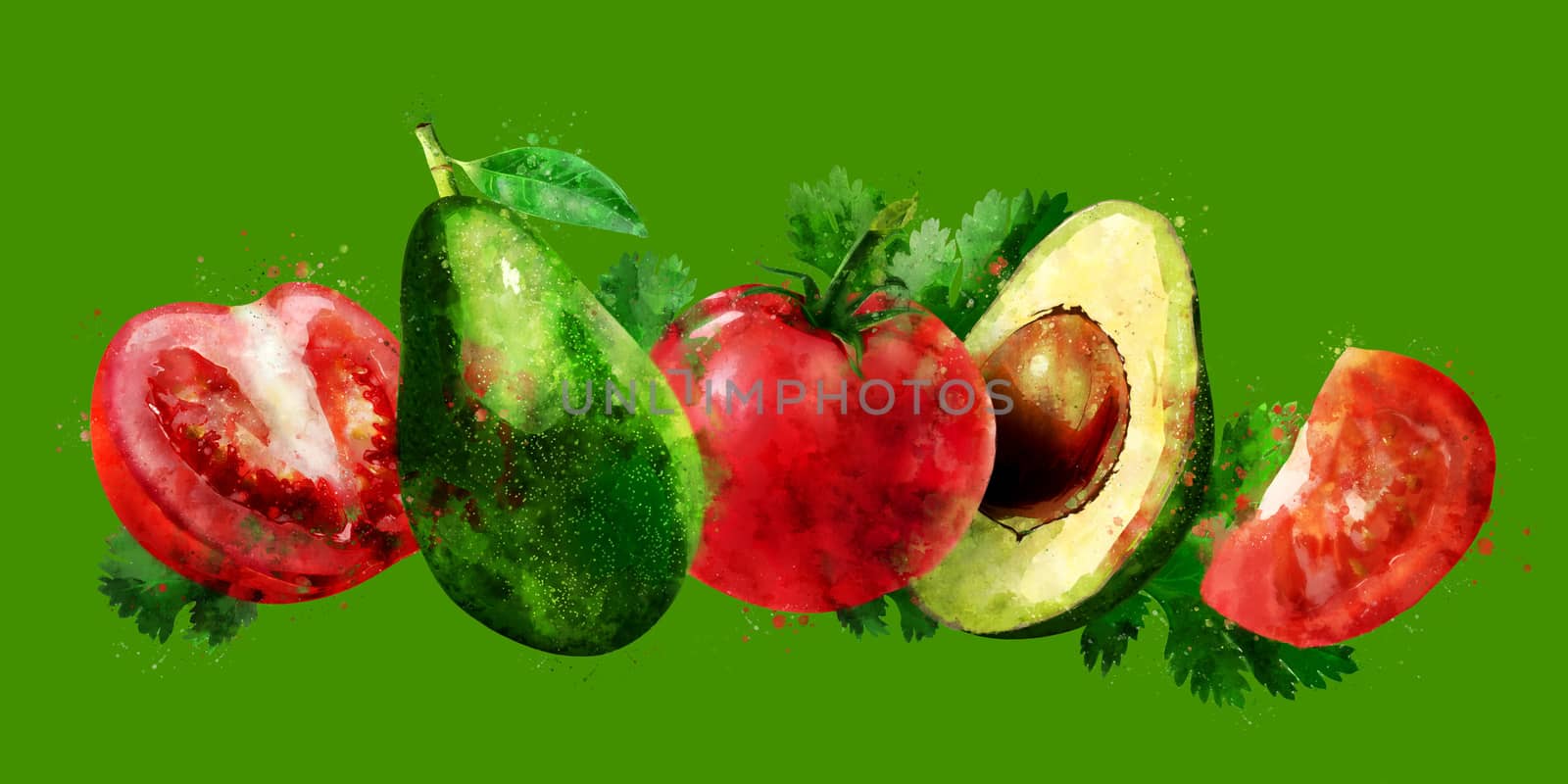 Avocado and tomato on green background. Watercolor illustration by ConceptCafe