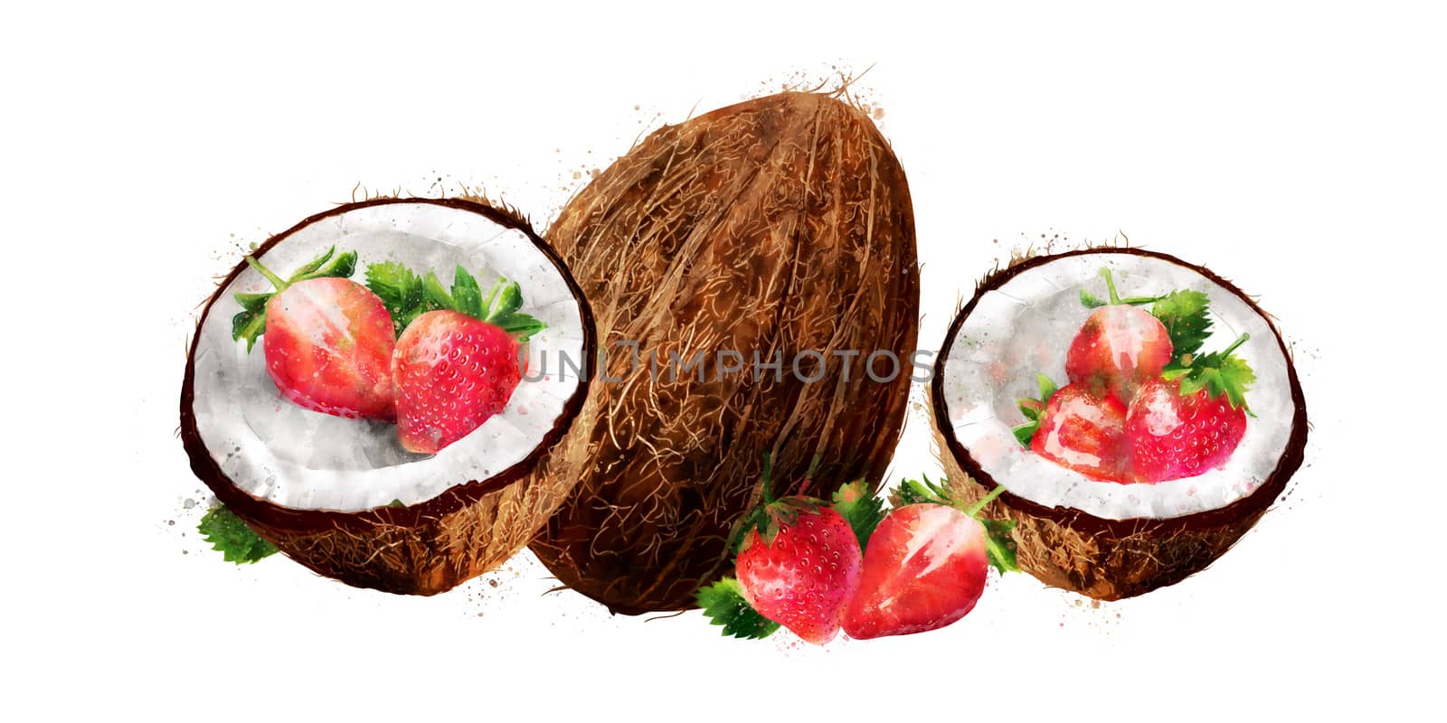 Watercolor coconut and strawberry on white background by ConceptCafe