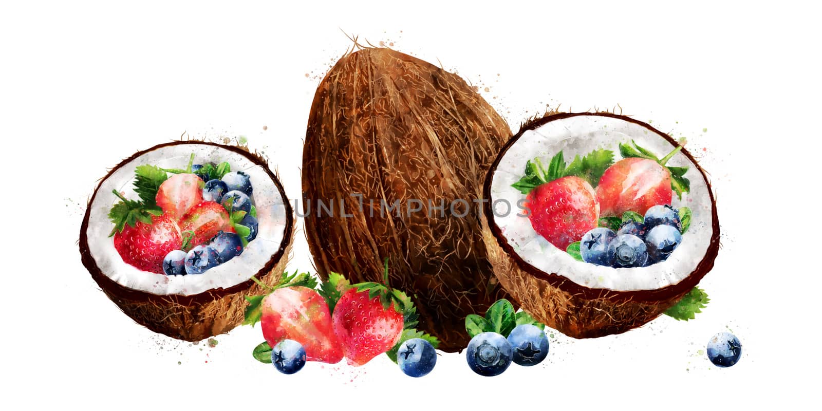 Watercolor coconut, blueberries and strawberry on white background by ConceptCafe