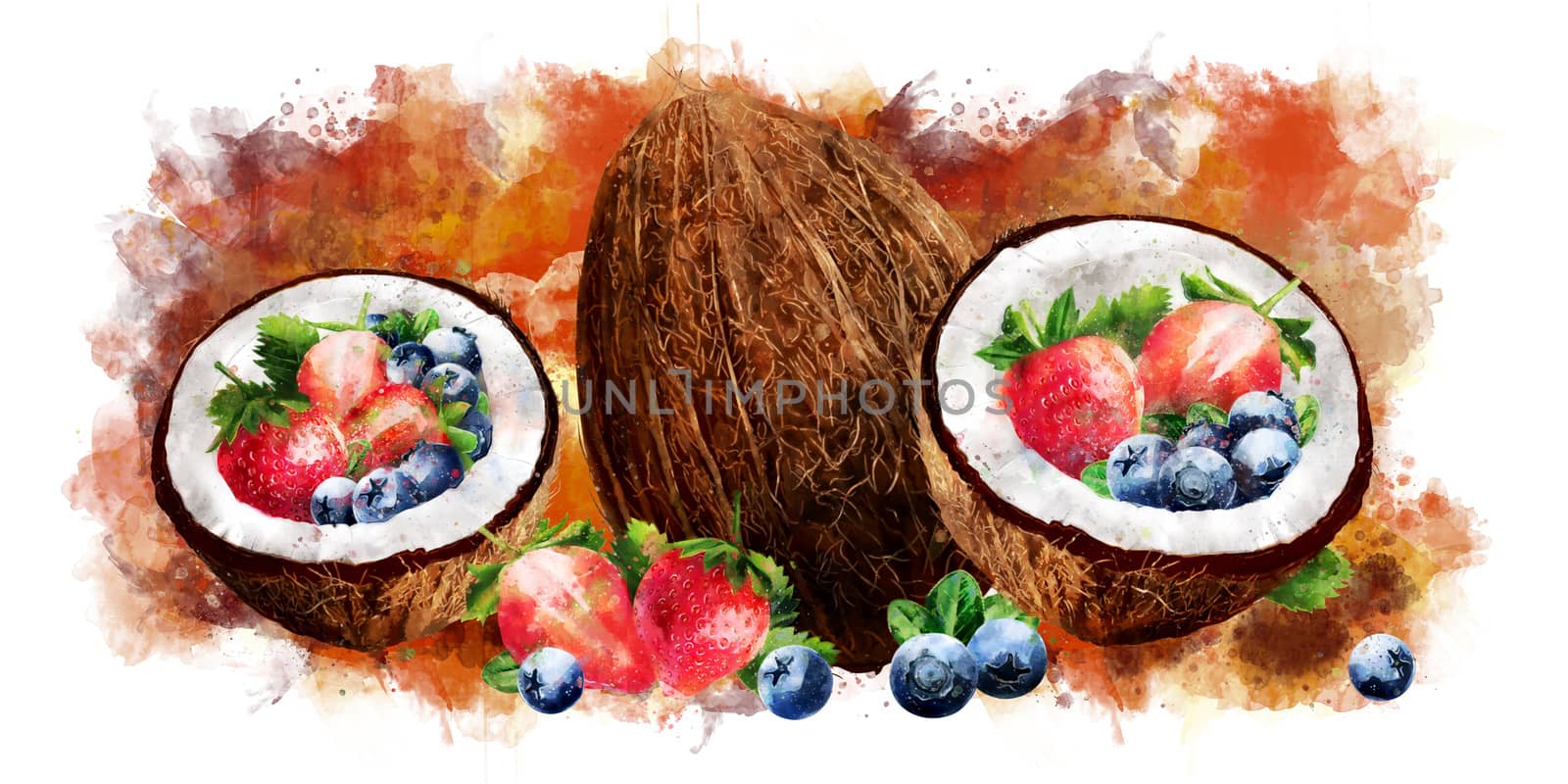 Watercolor coconut, blueberries and strawberry on white background by ConceptCafe