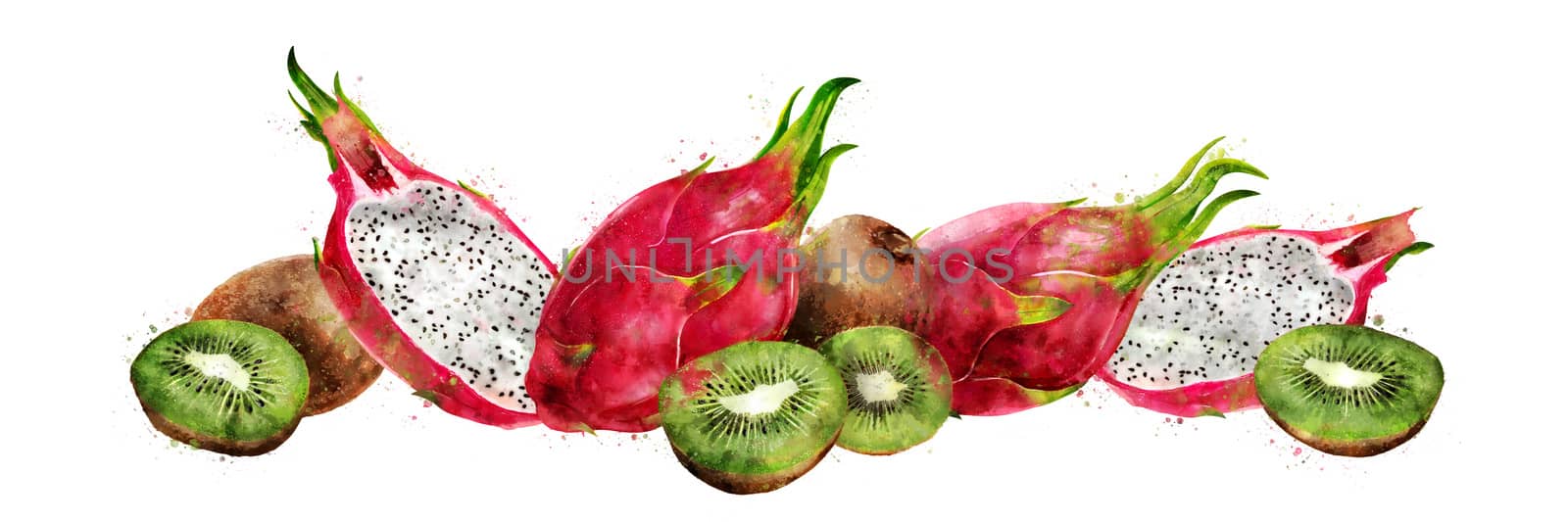 Dragon fruit and kiwi, isolated hand-painted illustration on a white background