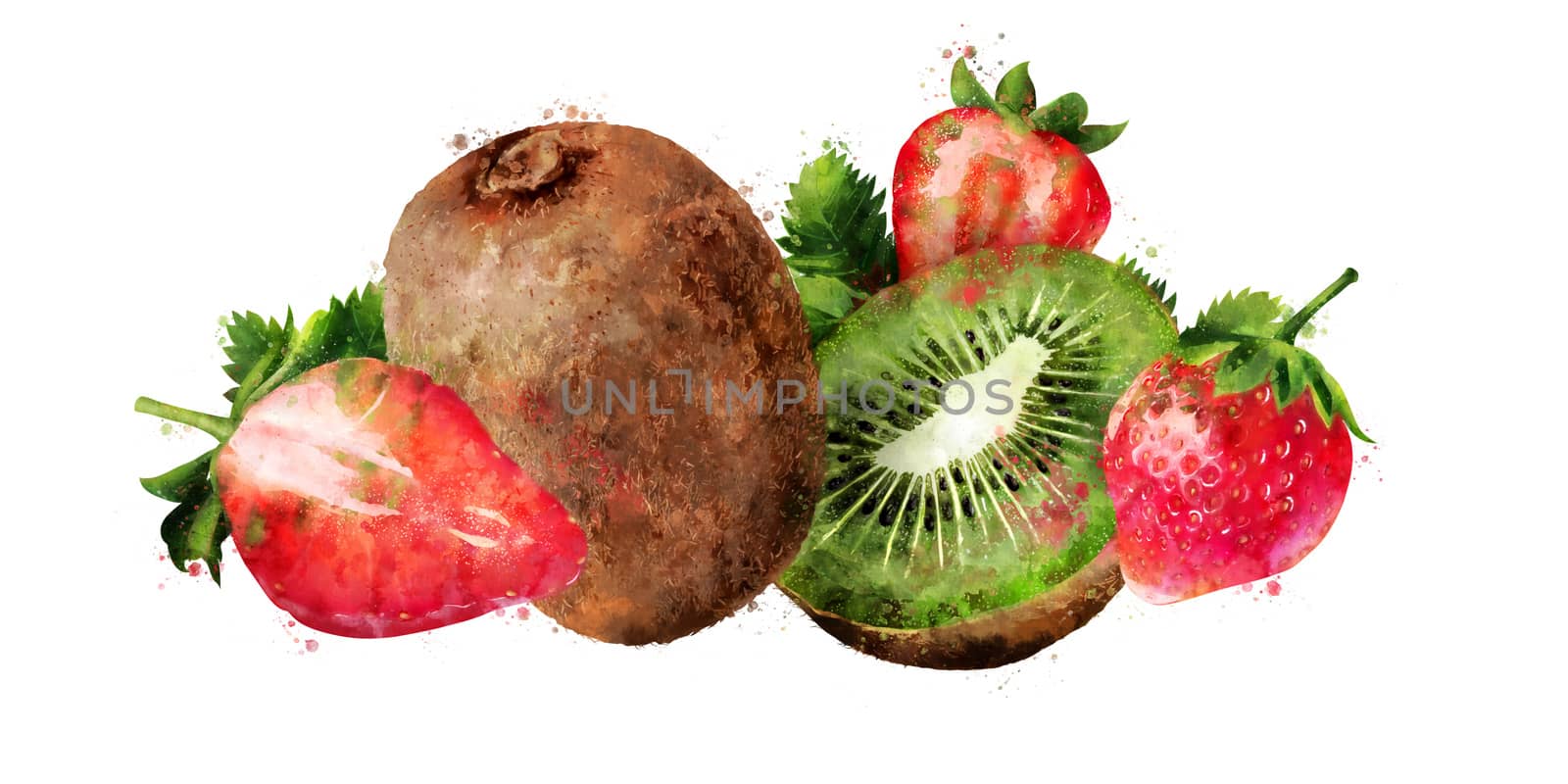 Strawberry and kiwi hand-painted illustration on white background