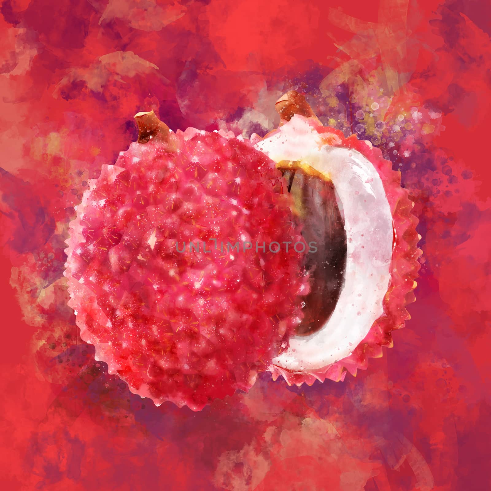 Lichi, hand-painted illustration on a red background