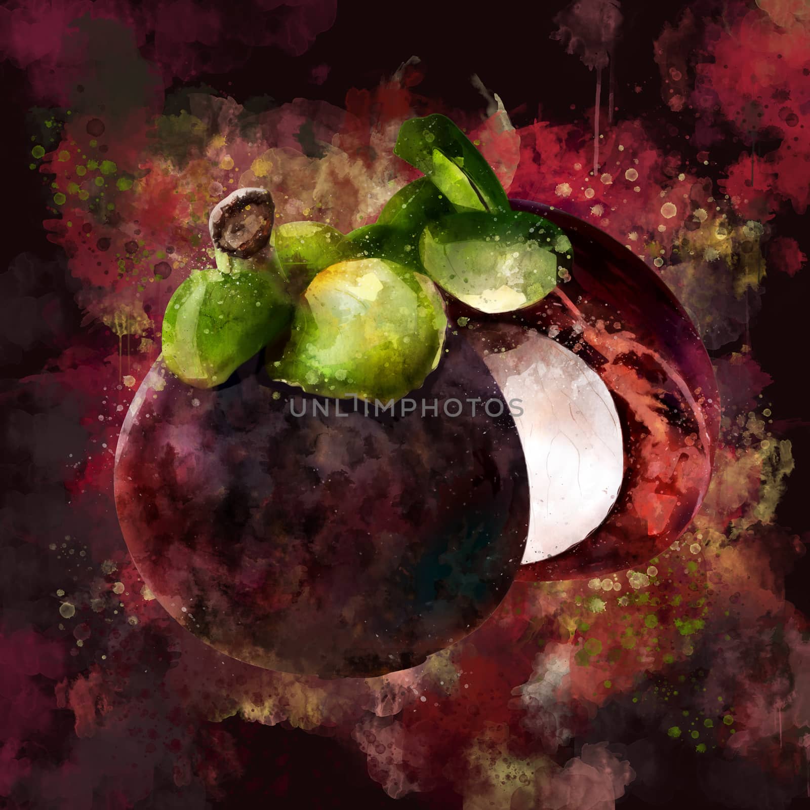 Mangosteen on dark background. Watercolor illustration by ConceptCafe