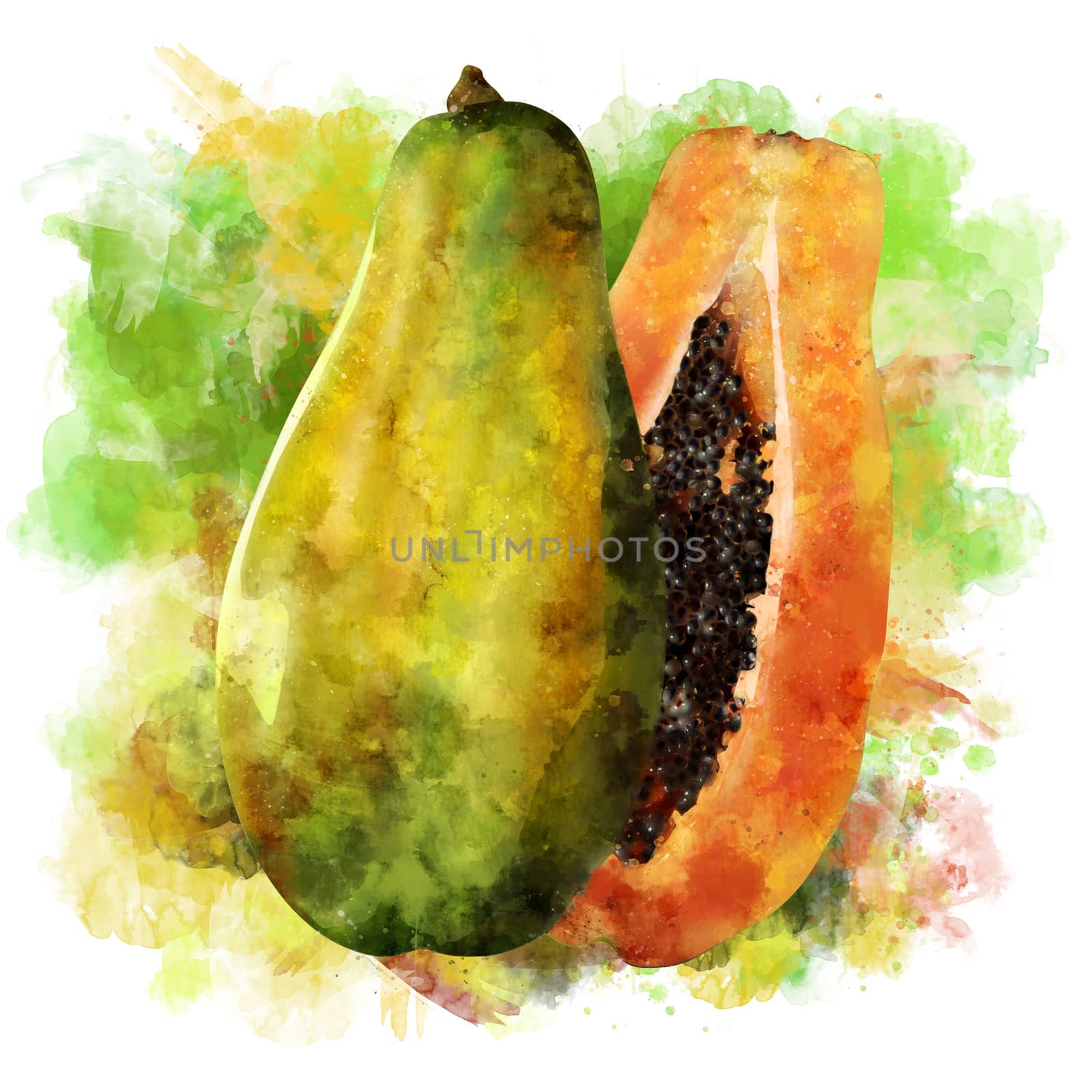 Papaya on white background. Watercolor illustration by ConceptCafe