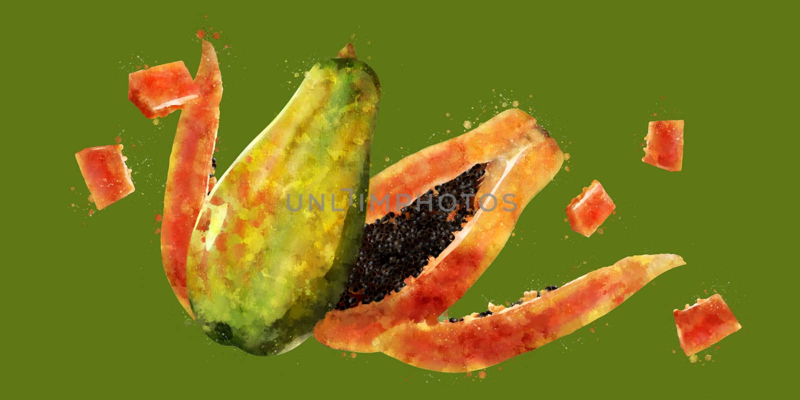 Papaya on green background. Watercolor illustration by ConceptCafe