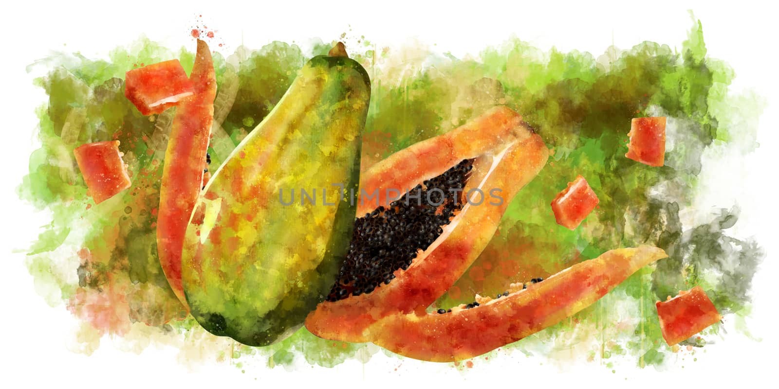 Papaya on white background. Watercolor illustration by ConceptCafe