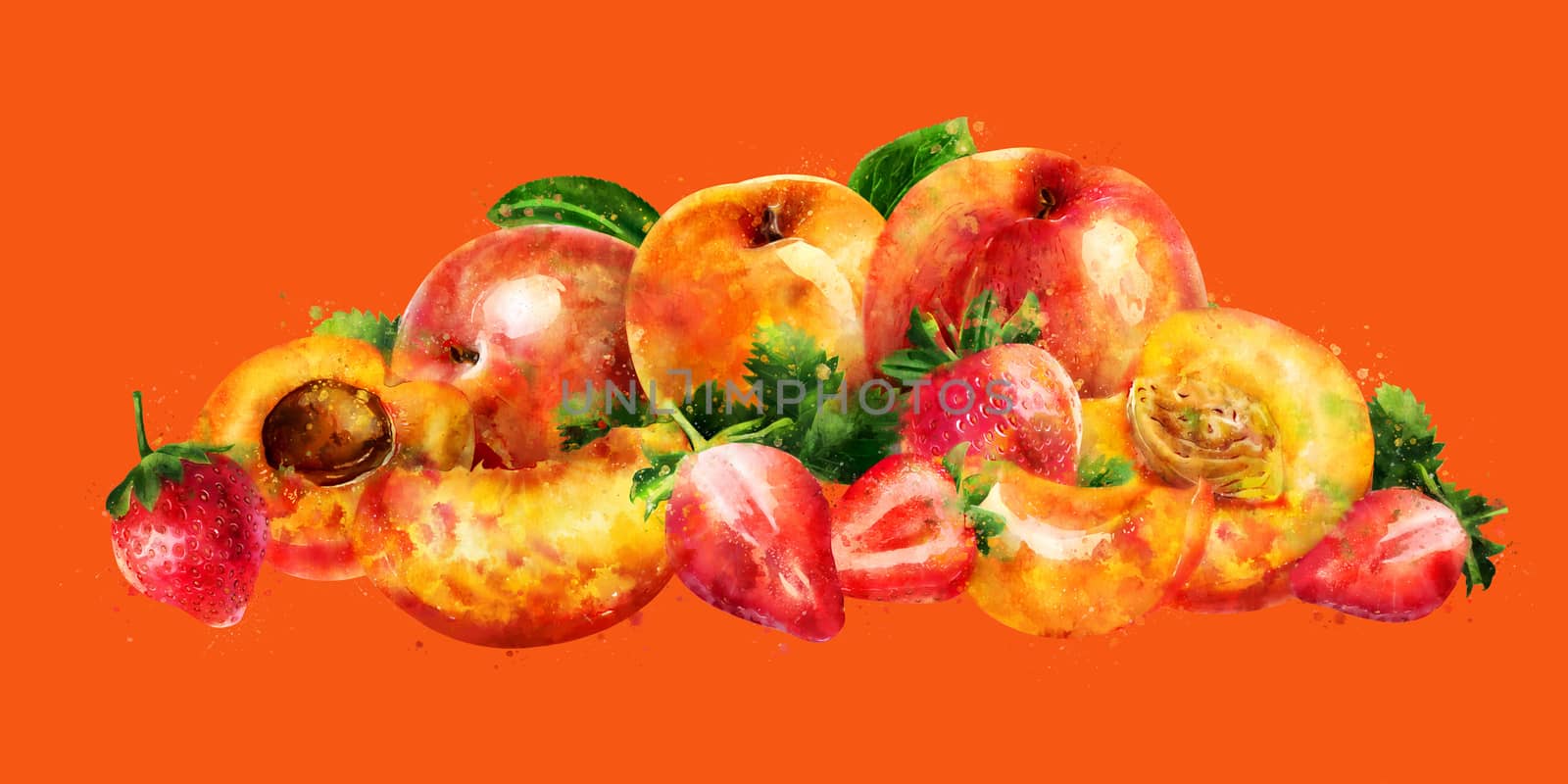 Apricot, peach and strawberry on orange background. Watercolor illustration by ConceptCafe