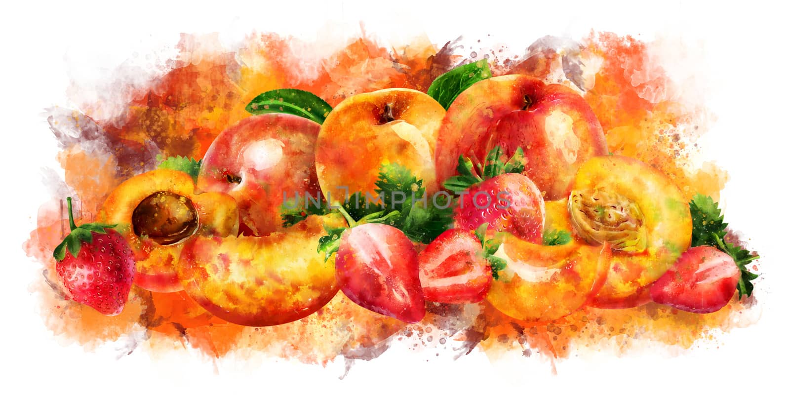 Apricot, peach and strawberry on white background. Watercolor illustration by ConceptCafe