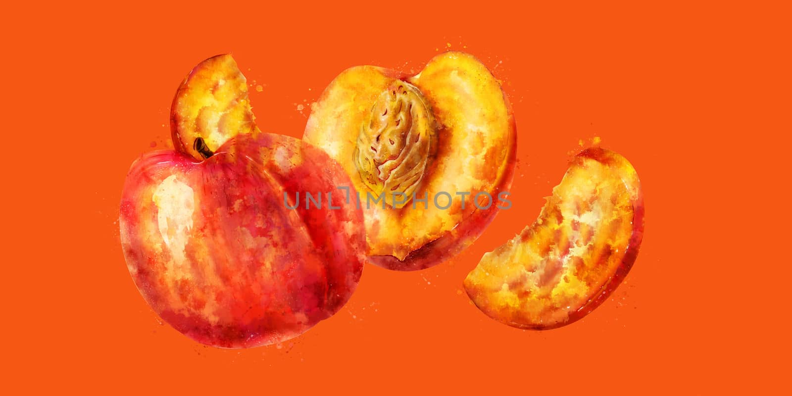 Peach on orange background. Watercolor illustration by ConceptCafe