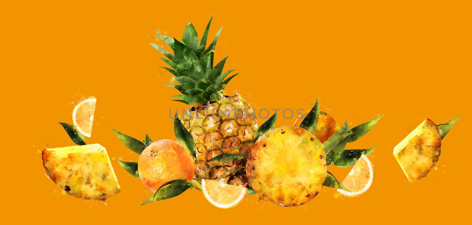 Pineapple, hand-painted illustration on a orange background