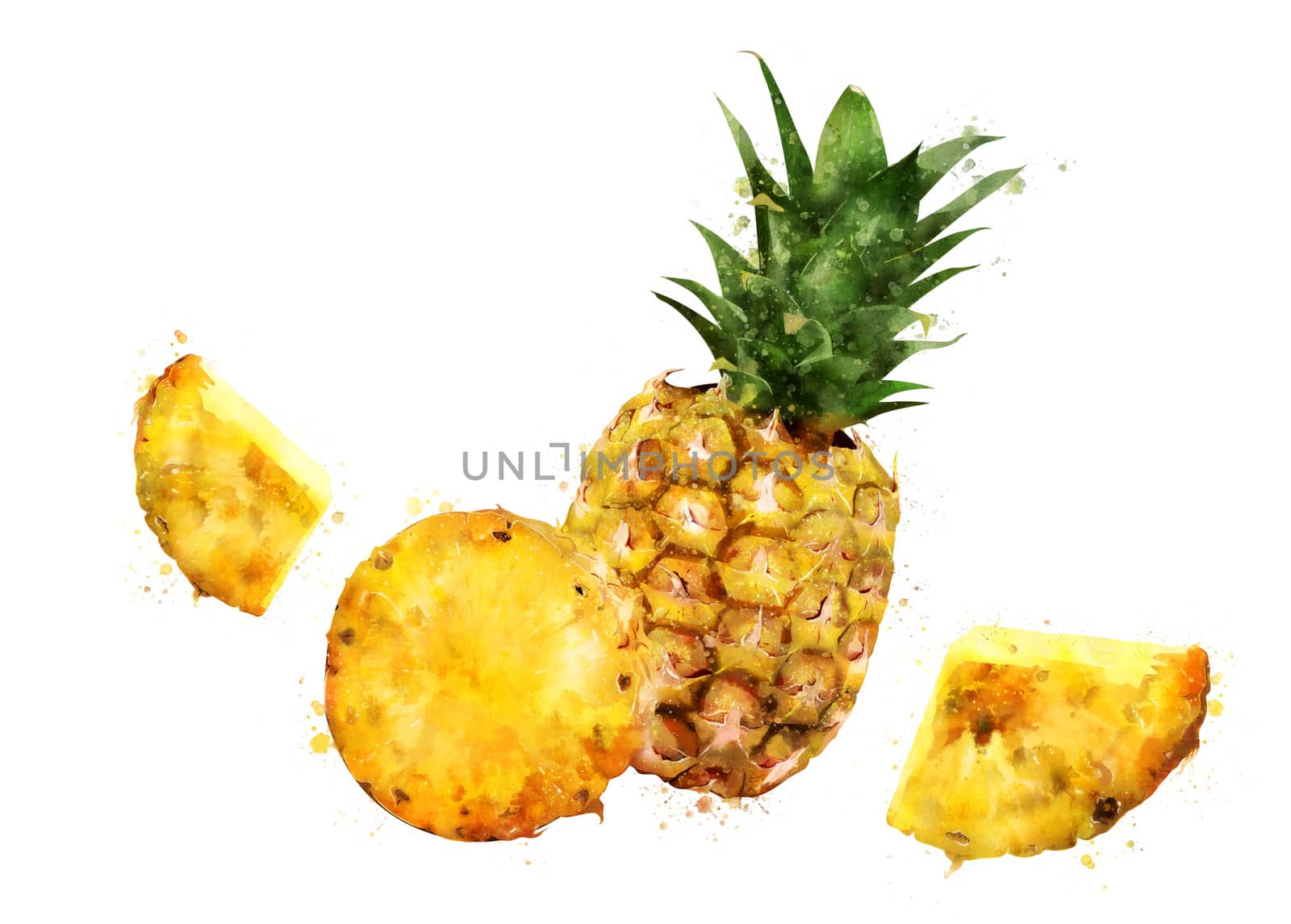 Pineapple on white background. Watercolor illustration by ConceptCafe